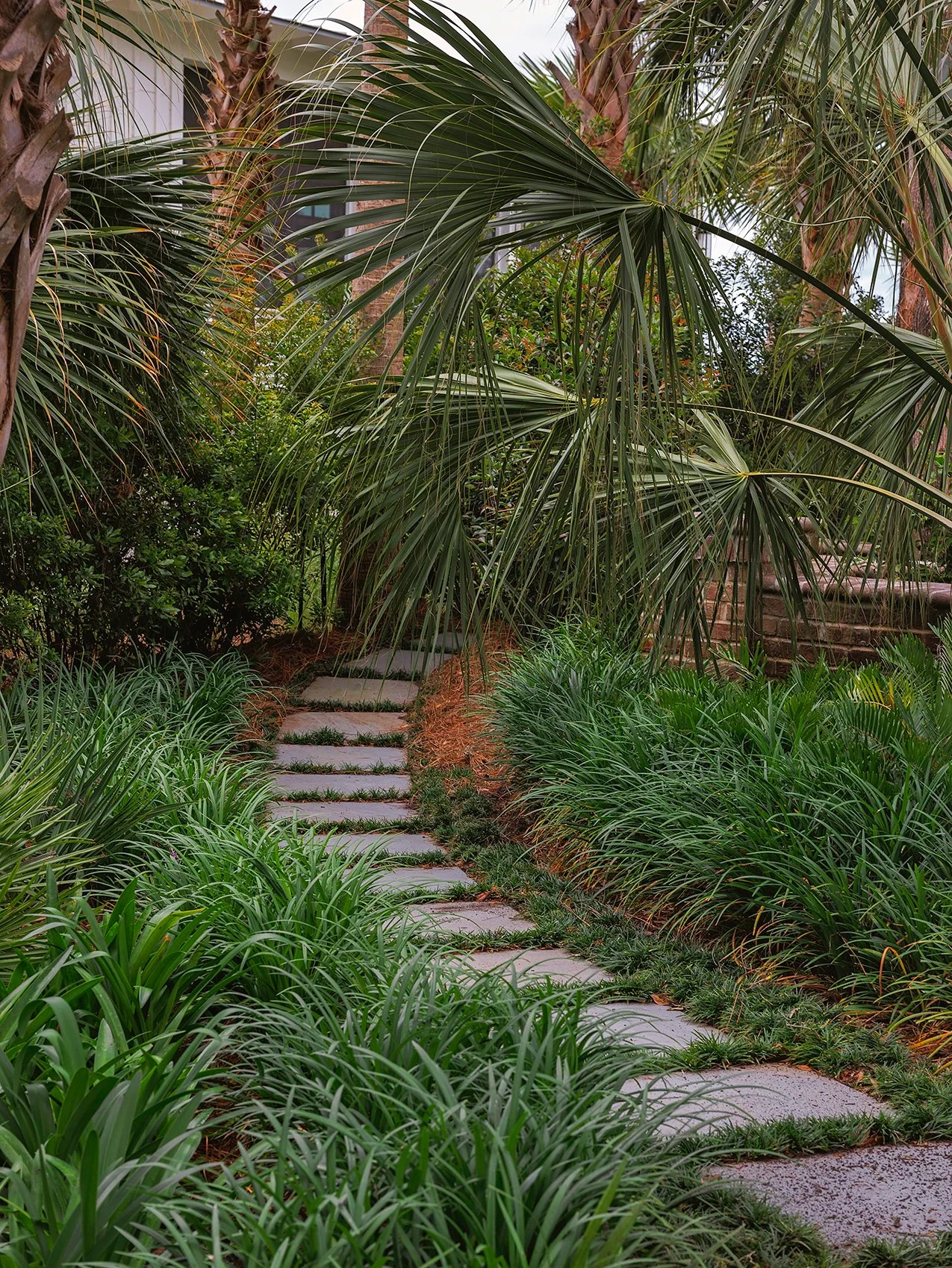 A lush, tropical garden with a stone pathway leading uphill, surrounded by green palm and grass plants.