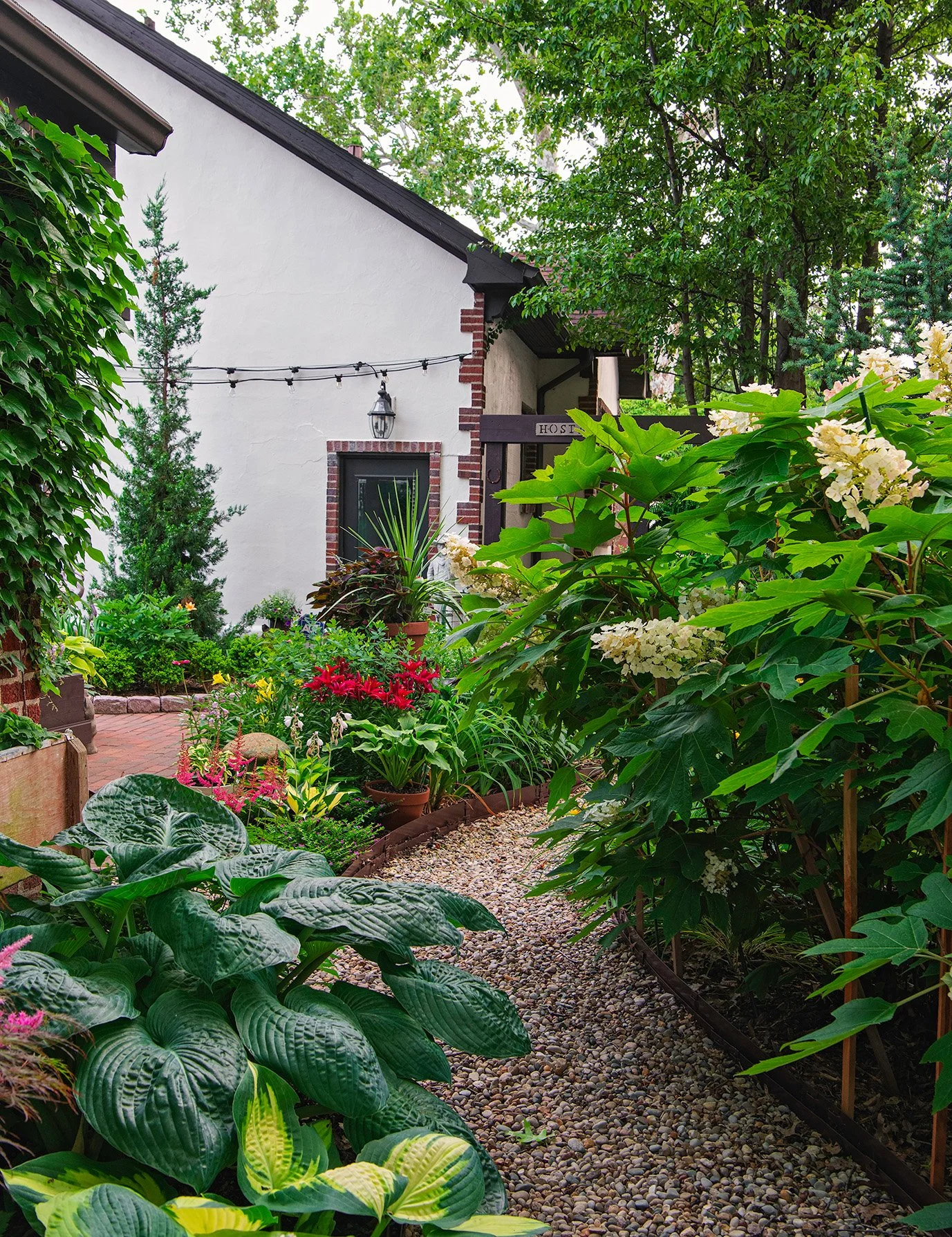 A lush, green garden with a gravel pathway leading to a white house with a dark roof, surrounded by various plants and flowers.