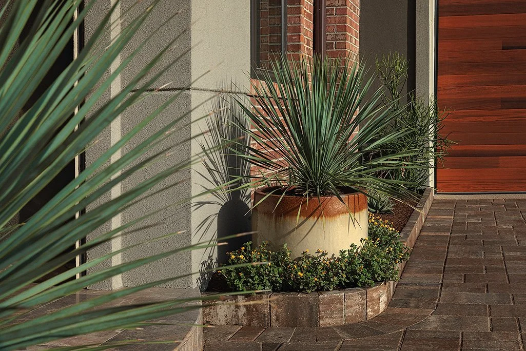Outdoor potted plant on a brick sidewalk next to a modern house with a brick and wood exterior.