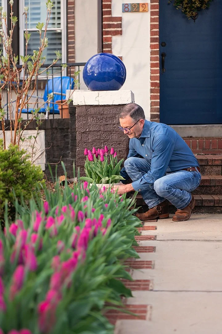 Garden branding photography of a man planting pink tulips outside a house with brick steps and a blue door in St. Louis, MO.