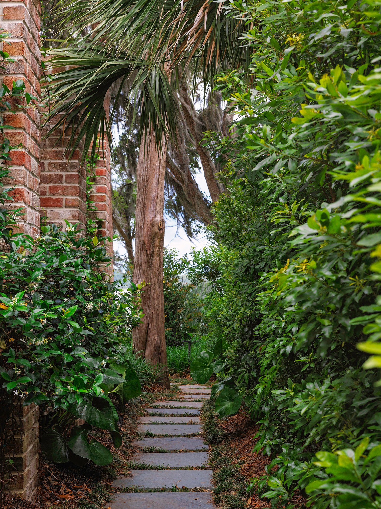 A narrow garden pathway with flat stones surrounded by dense green foliage on both sides, leading towards tall trees in the background and a brick wall partially visible on the left.