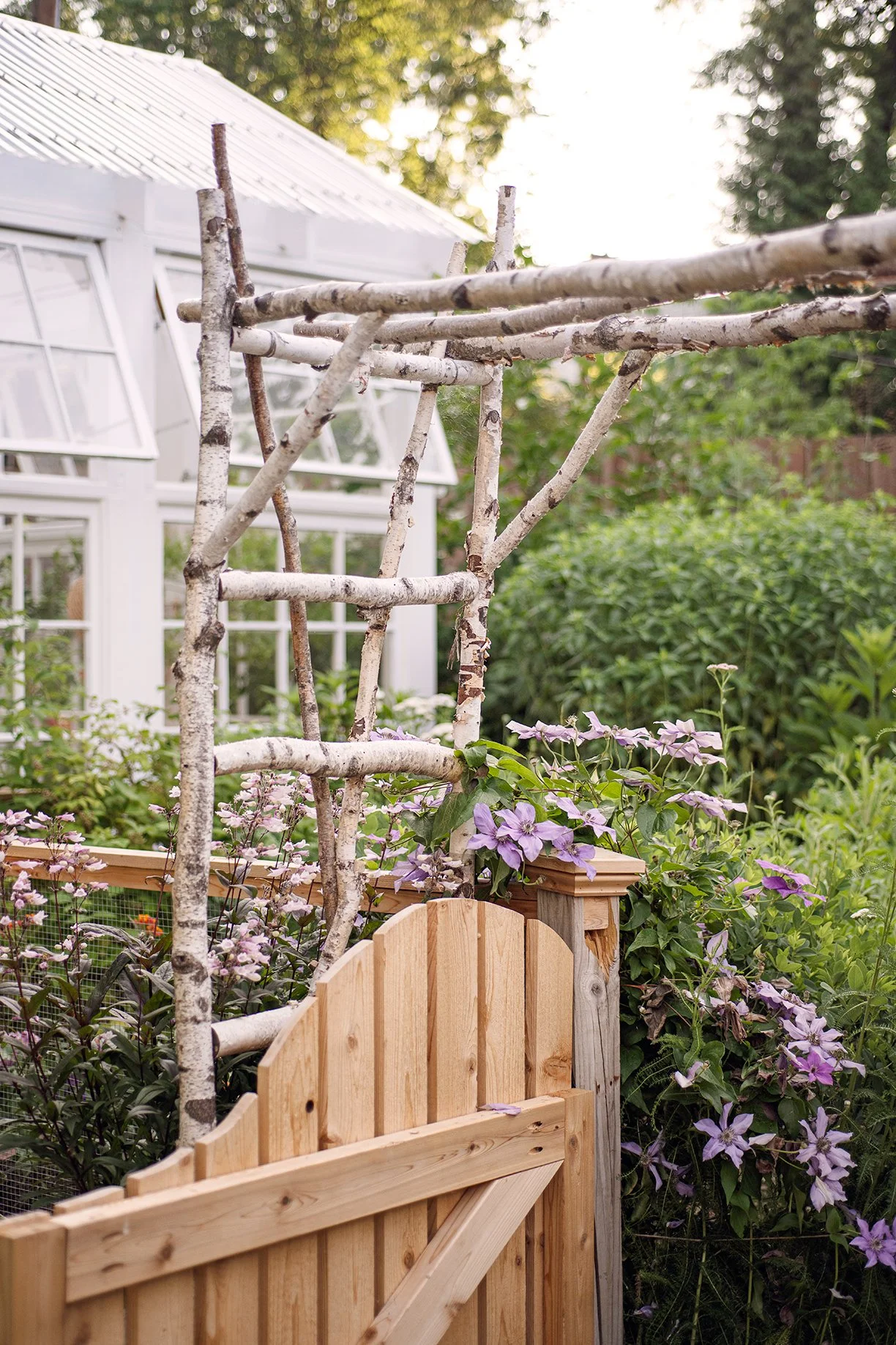 Wooden garden gate with flowering plants and a rustic trellis in a lush garden,house in the background