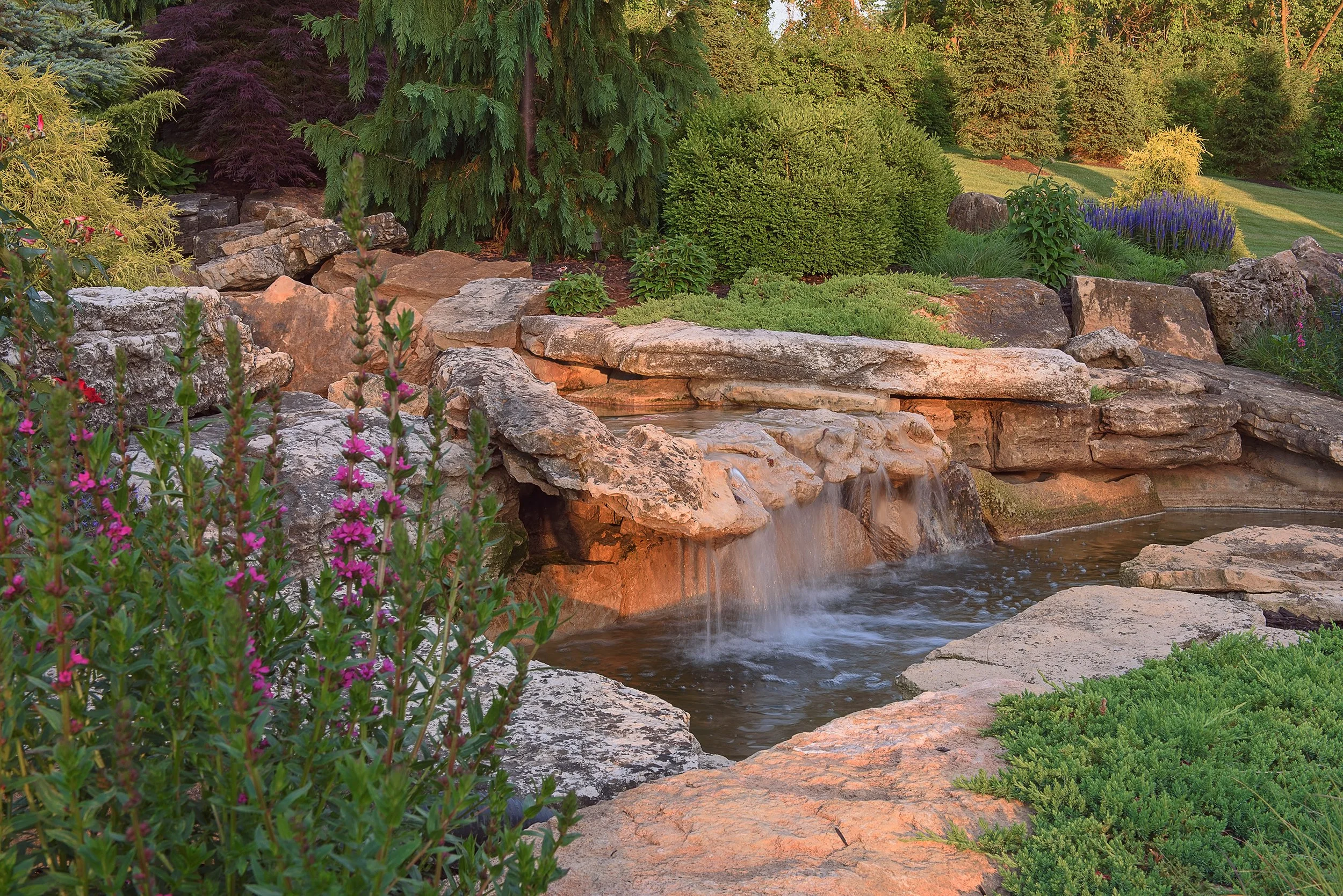 A landscaped garden with a small waterfall flowing over rocks into a pond, surrounded by various plants and shrubs, with a backdrop of trees and a lawn.