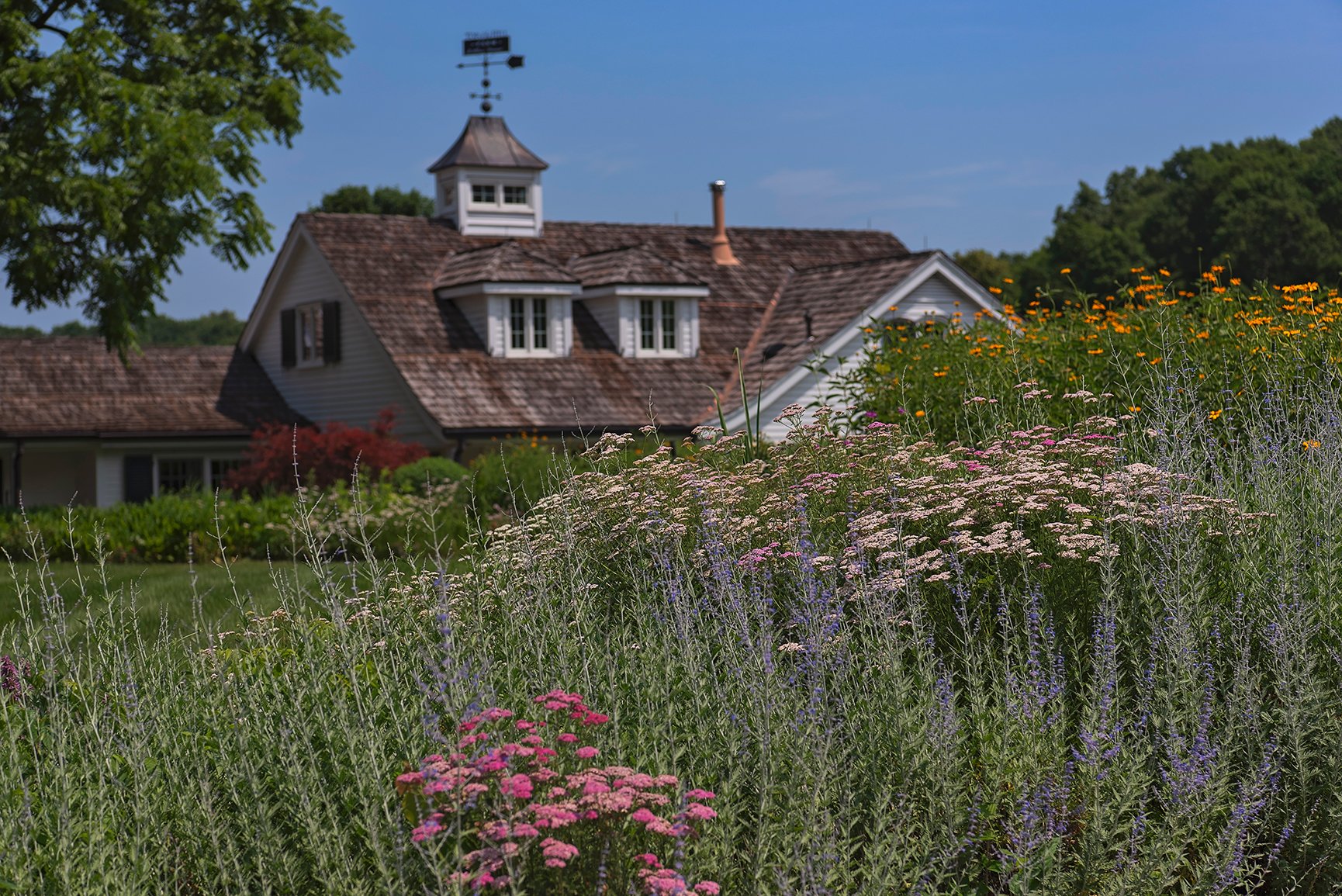 A house with a wooden shingle roof surrounded by a garden of pink, purple, and yellow flowers under a blue sky.