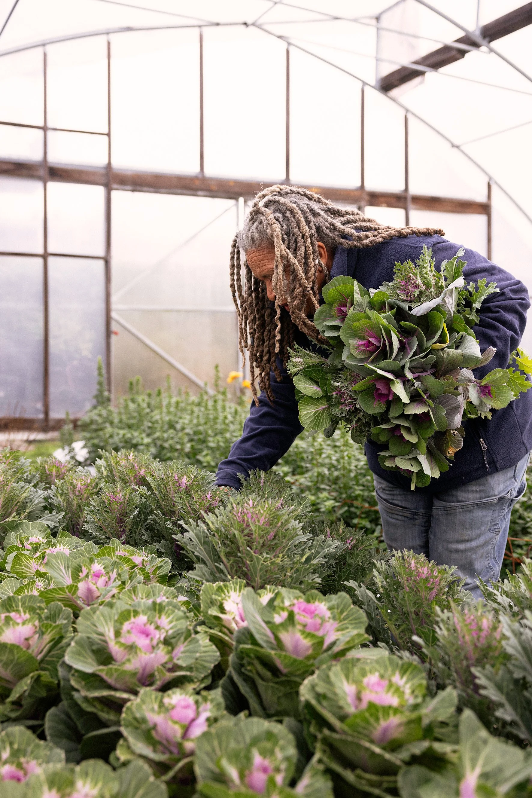 A flower farmer harvesting plants inside a greenhouse, holding a bunch of leafy greens or ornamental plants.