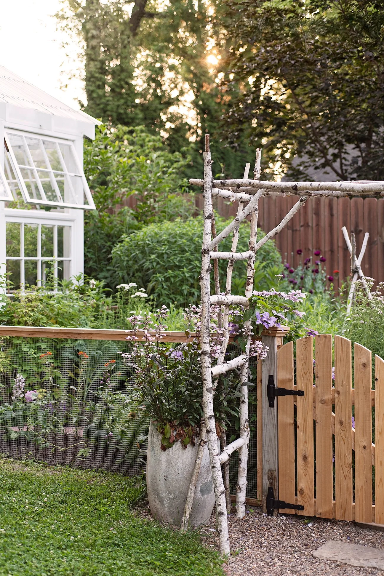 A garden with various plants and flowers, a small wooden gate, a large flower pot with plants, and a wooden structure made of birch branches. A white-framed window of a greenhouse or house is visible on the left, with sunlight shining through trees i
