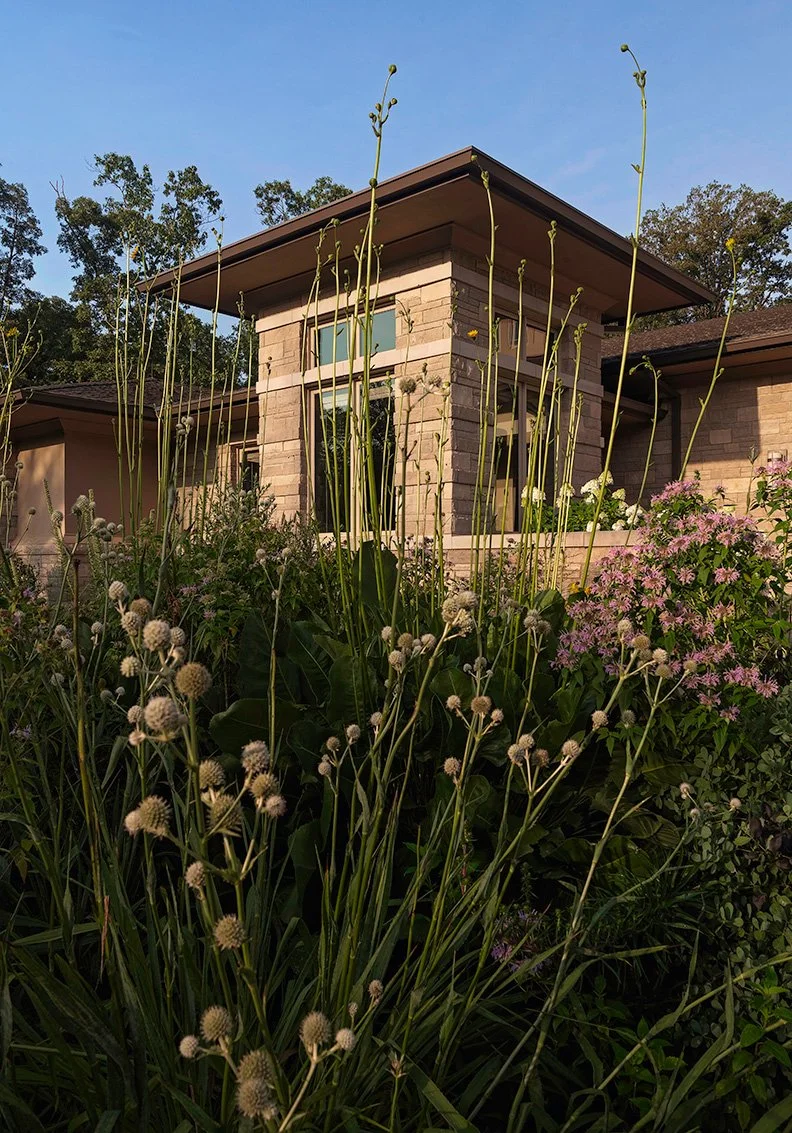 View of a modern house with brick exterior and large windows, partially obscured by tall green plants and flowering bushes in the foreground, under a clear blue sky.