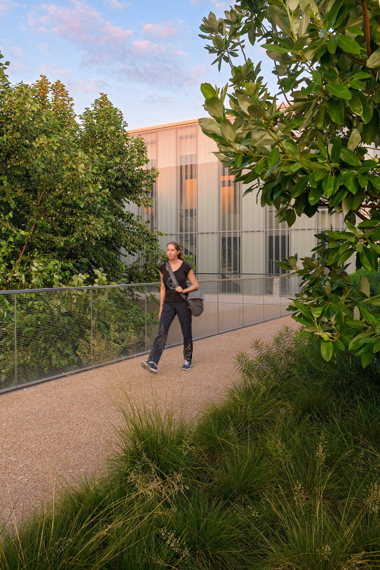 A woman walking on a pathway with plants and trees around, near a modern building with glass windows at sunset.