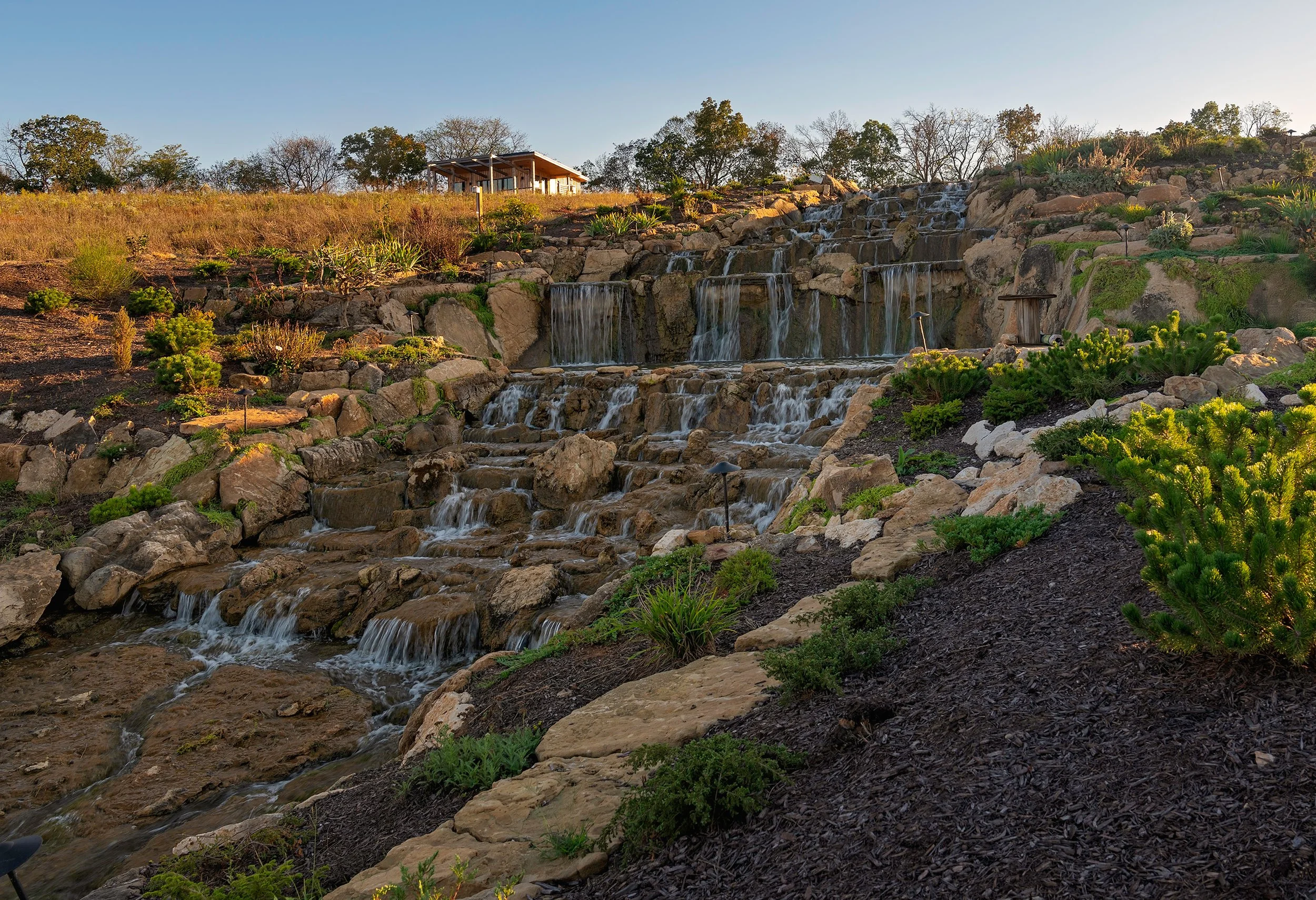 A landscaped garden with a multi-tiered waterfall, rocks, green plants, and shrubs during late afternoon or early evening.