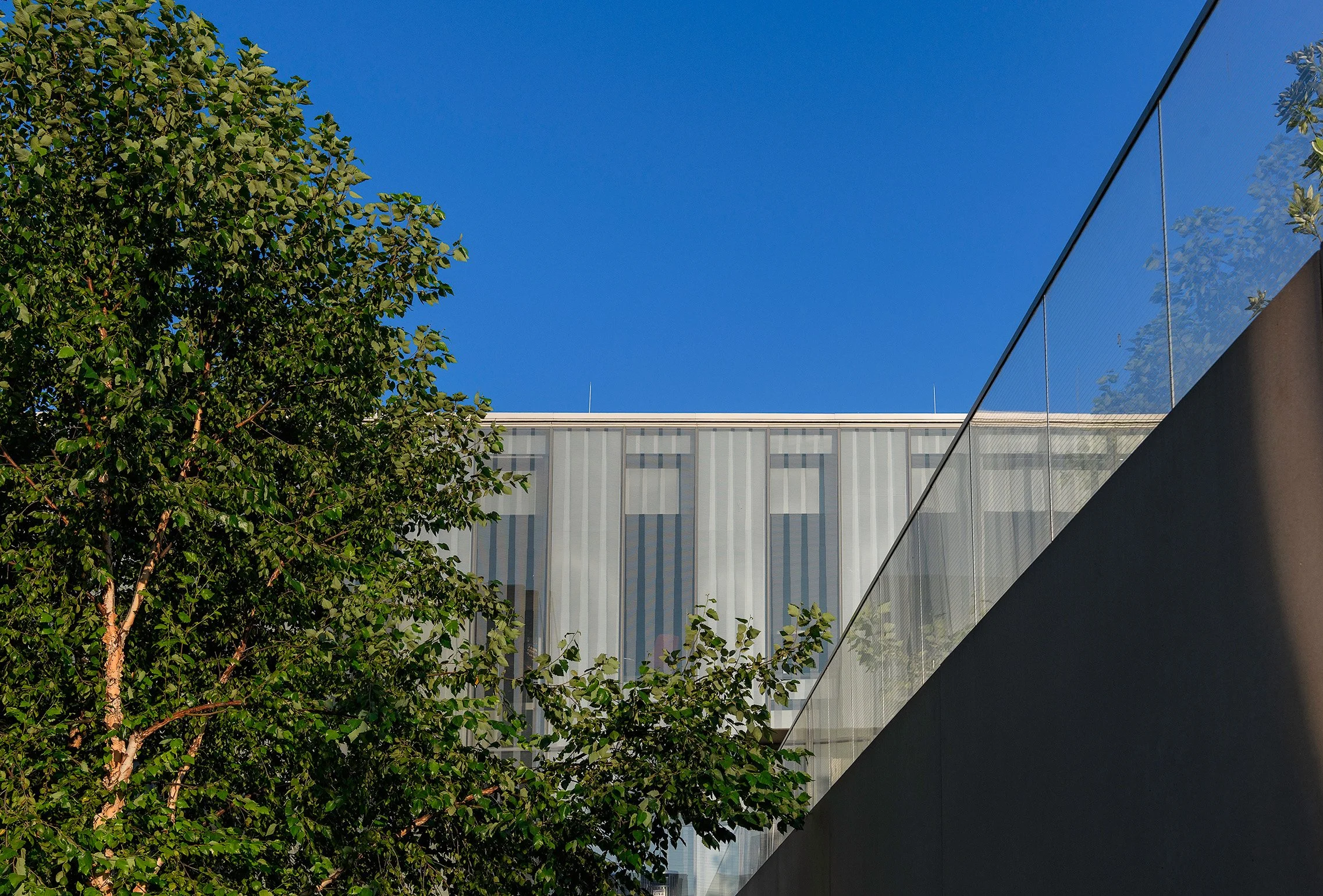 A modern building with a glass facade partially obscured by green trees, under a bright blue sky, with a glass railing in the foreground.