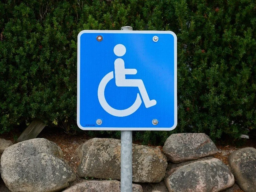 et blåt handicapparkeringsskilt med store kampesten og buskads  i baggrunden