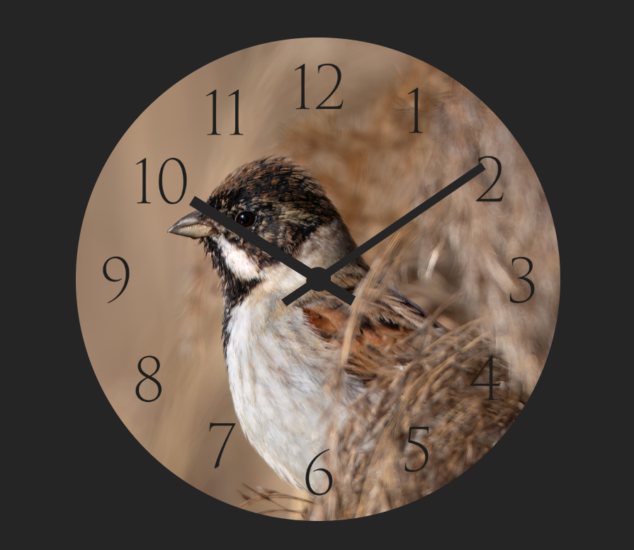 Immagine 2026-03-28 171049.png