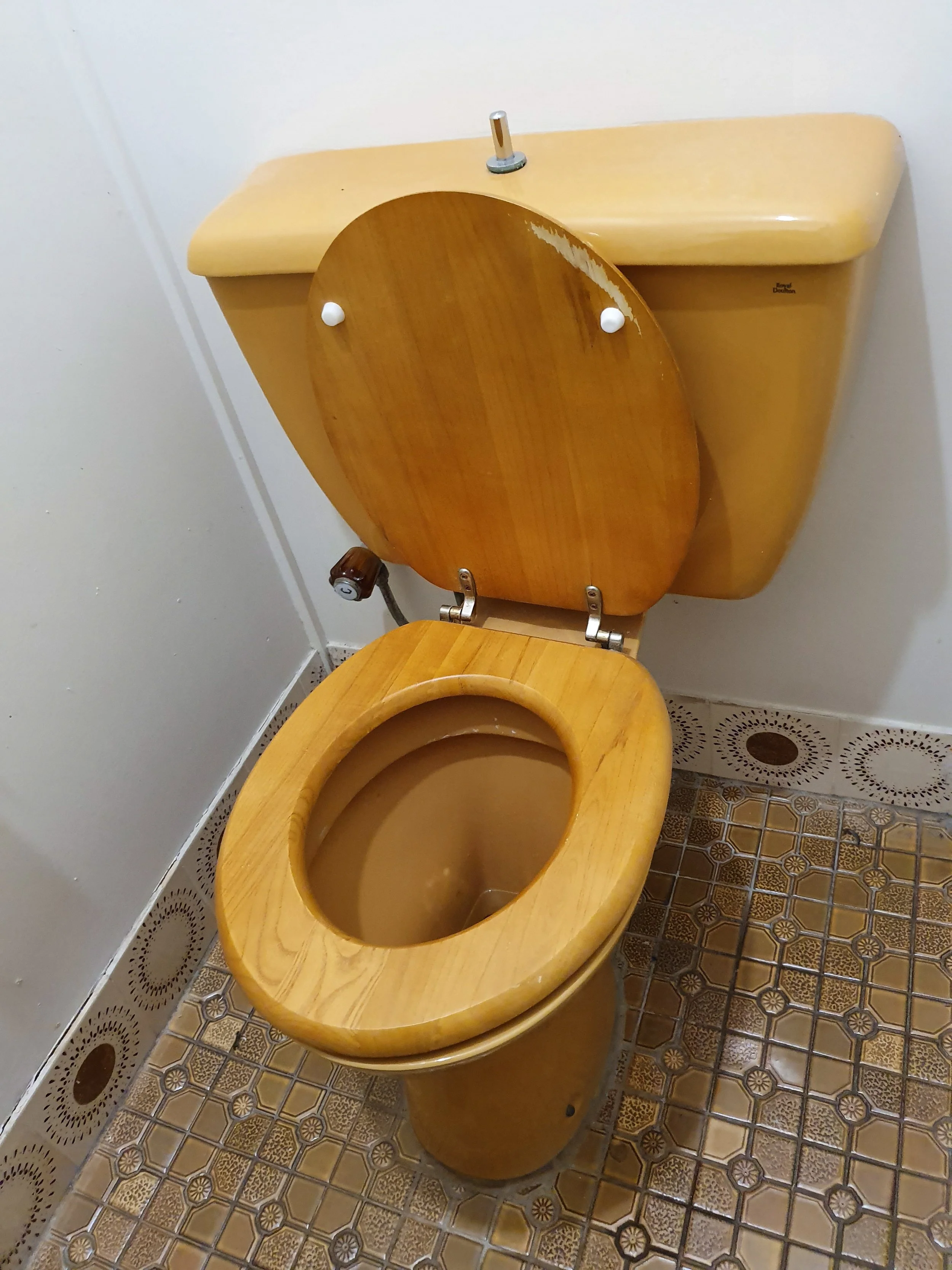 Shitter Fucked? let me at it