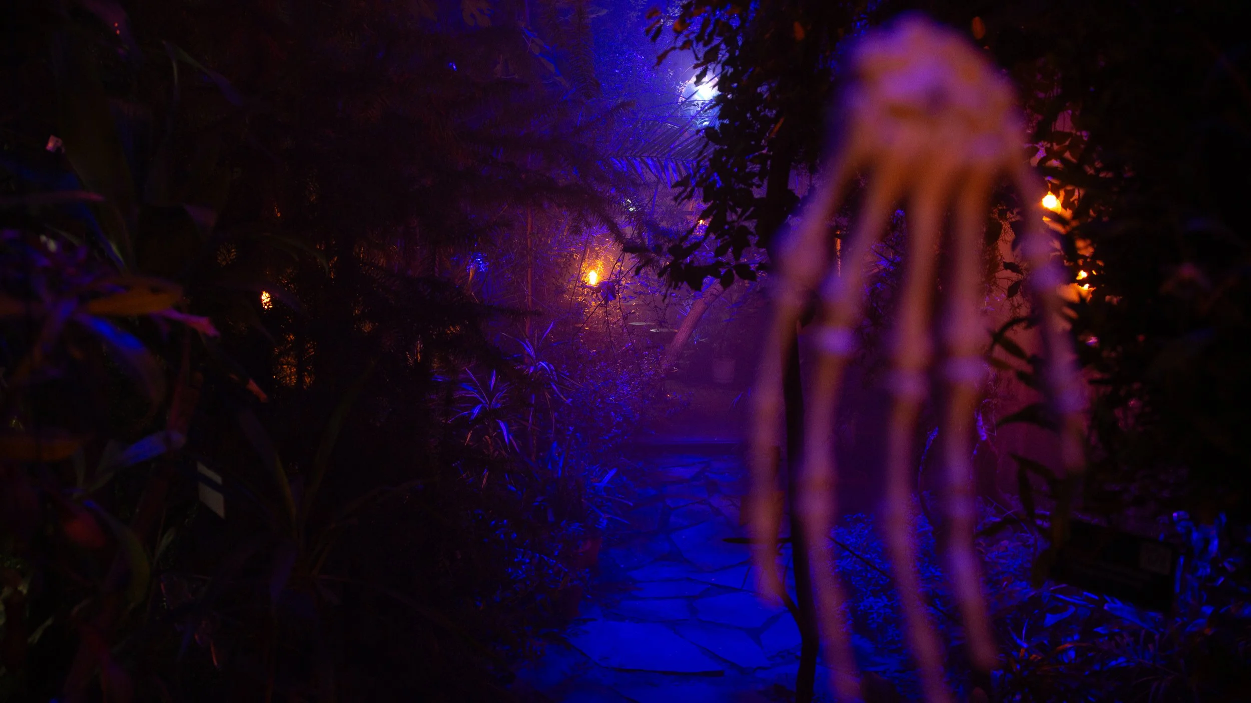 Bootania-Botania-Joensuu.jpg