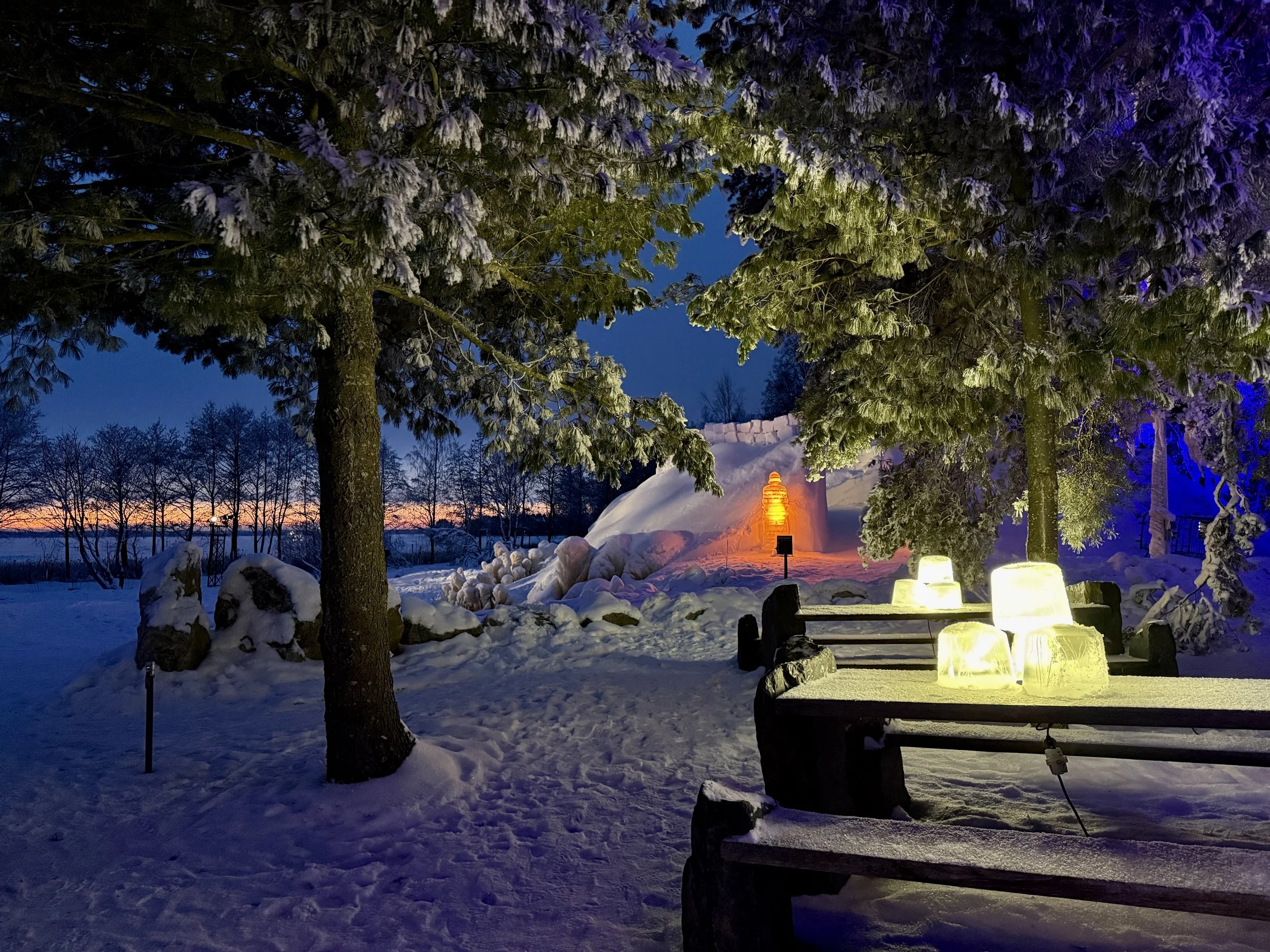 botania-joensuu-finland-winter-garden-snow-light.JPG
