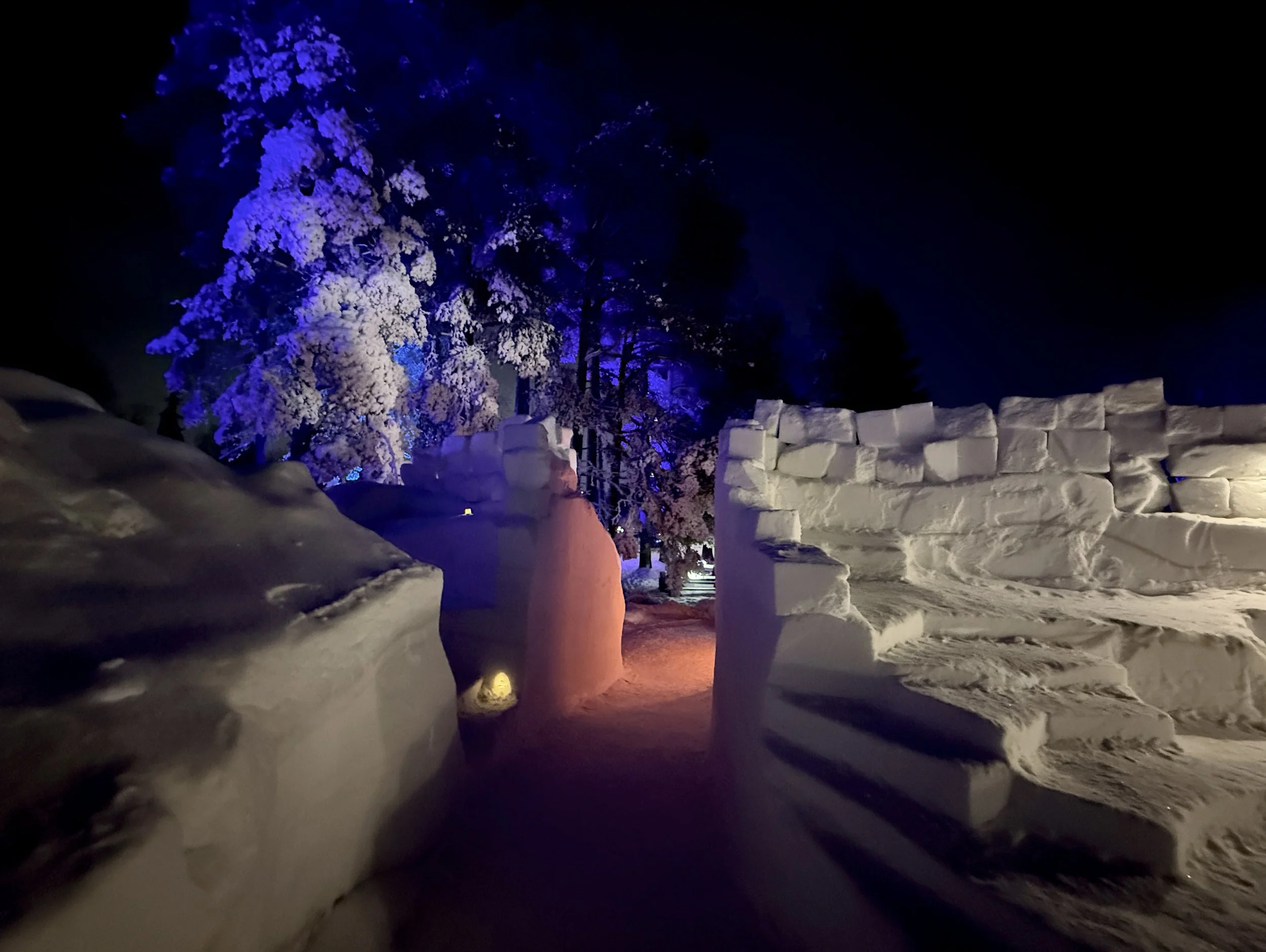 botania-joensuu-finland-winter-garden-snow-castle-night.JPG