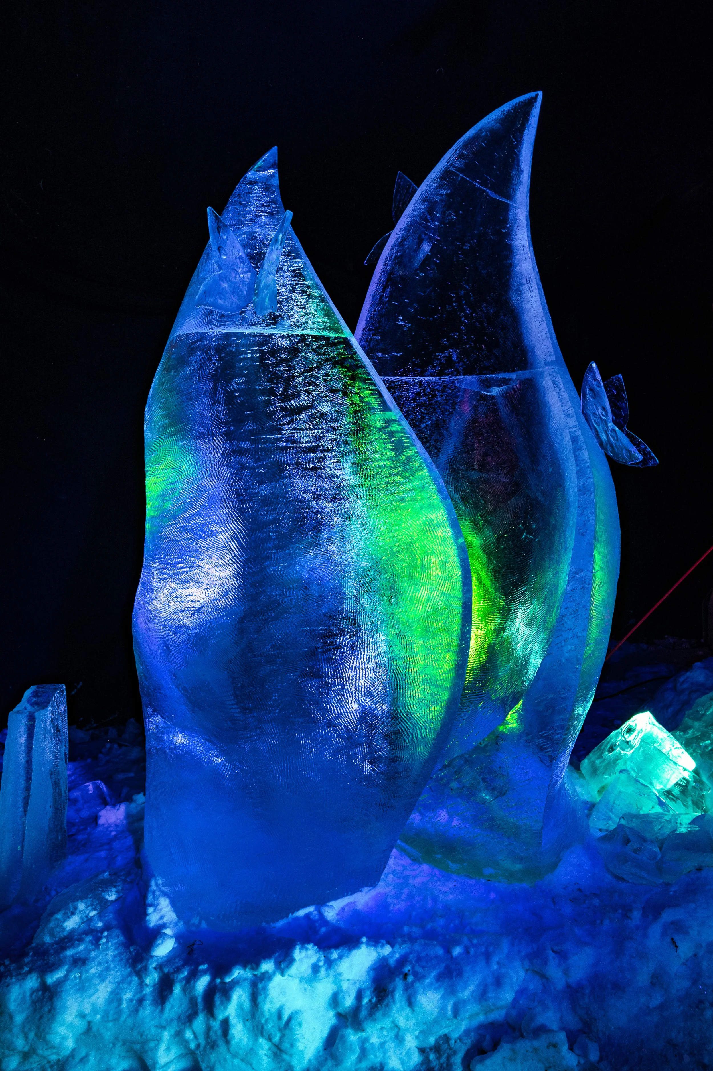 Botania jääveistoksia 2023-22.jpeg