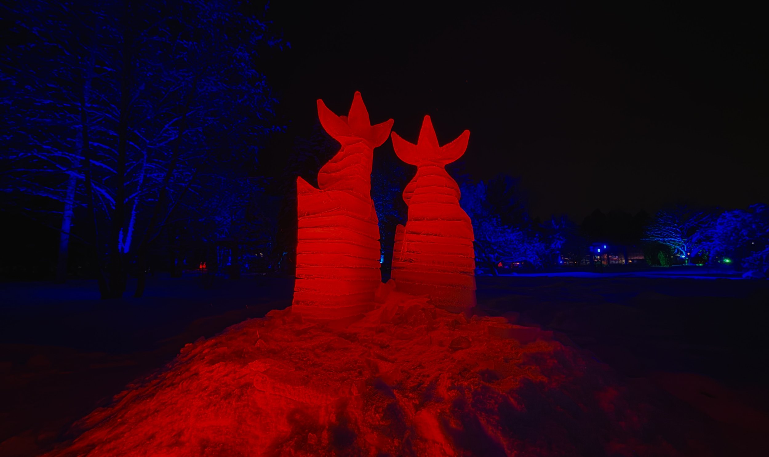 botania-joensuu-finland-red-light-sculpture-winter-garden-dark.JPG