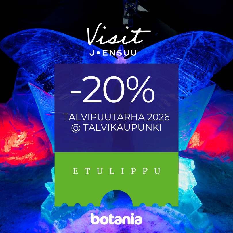 TALVIKAUPUNKI (etulippu –20%)
