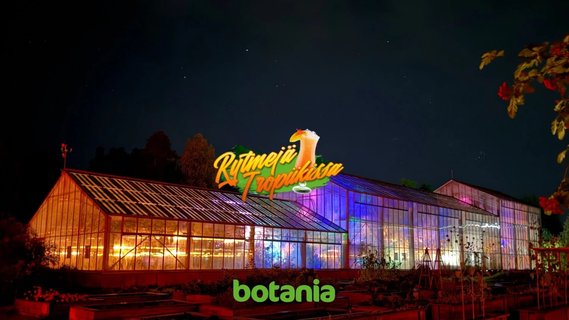 Rytmejä-Tropiikissa-Botania-Joensuu.jpg
