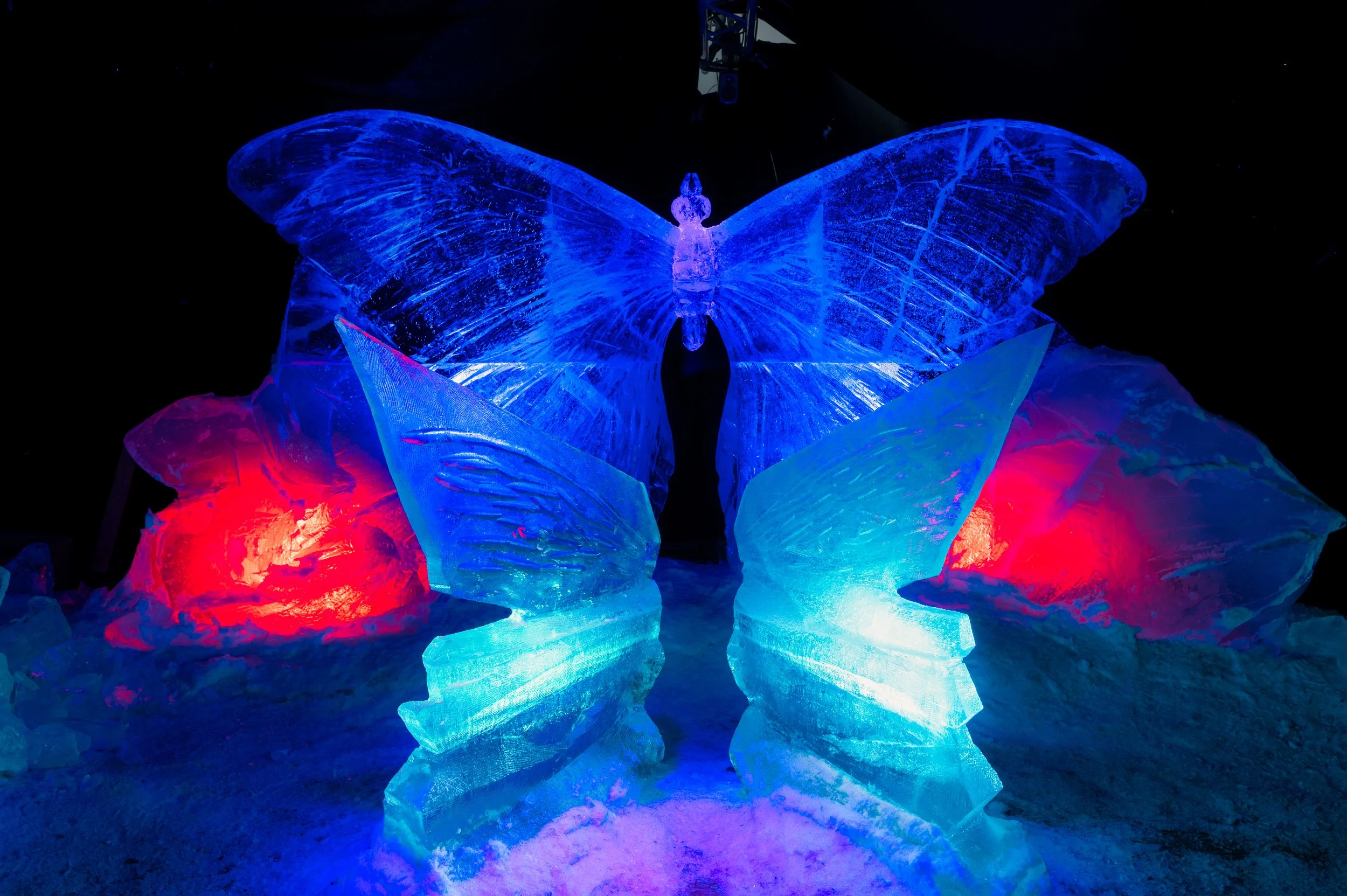 Huge ice butterfly