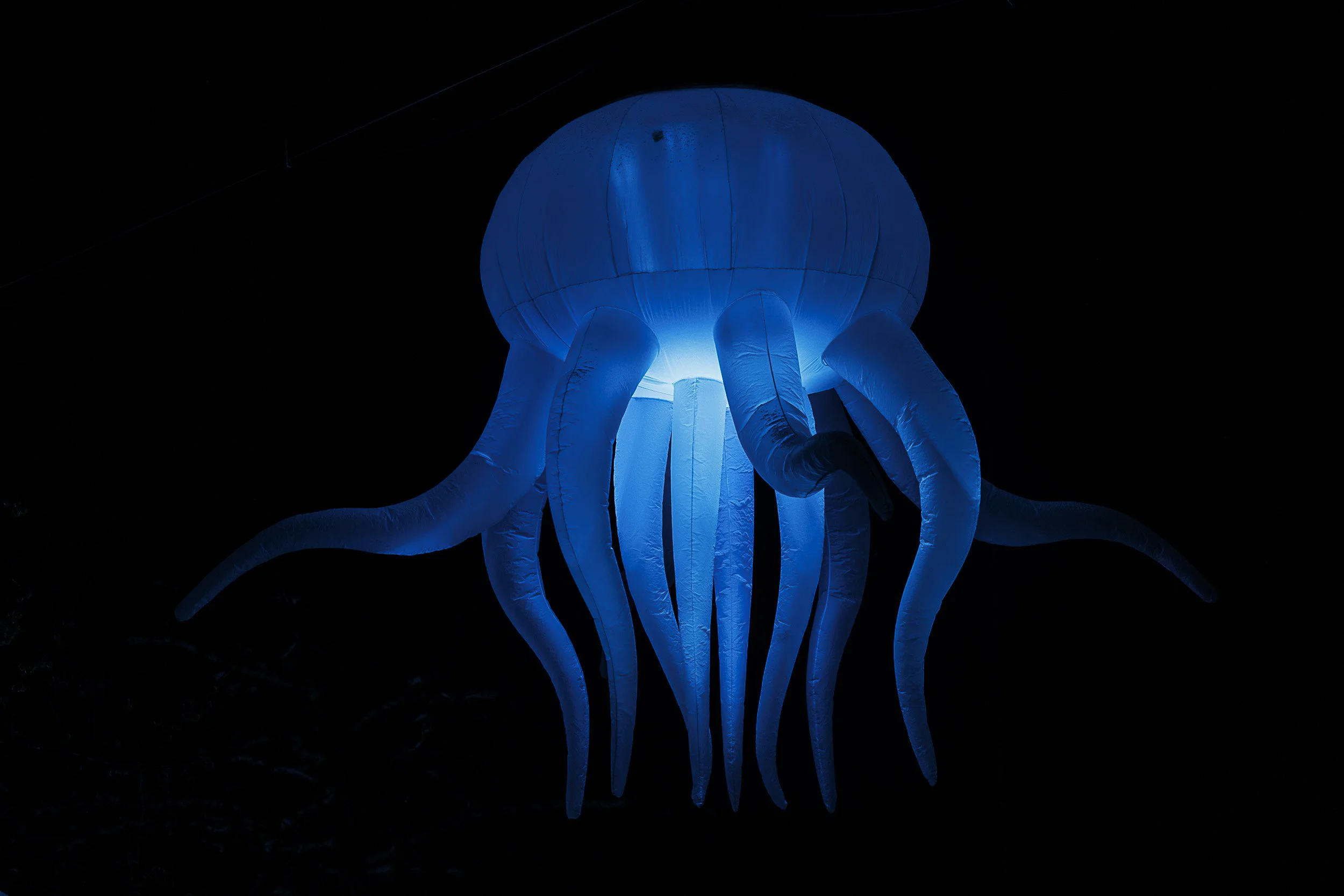 Visual Festival Joensuu 2025. Kuva: Janne Laukkanen