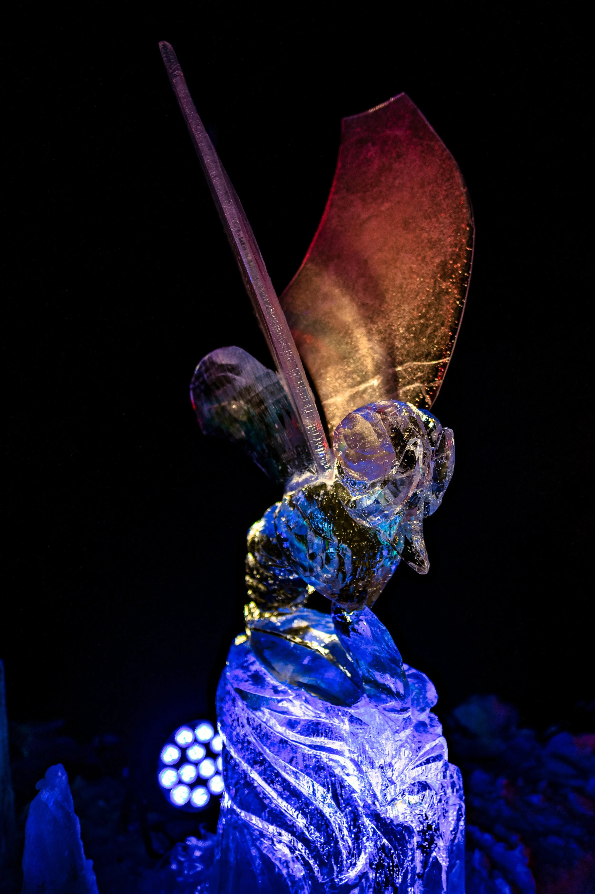 Dancer at Visual Festival