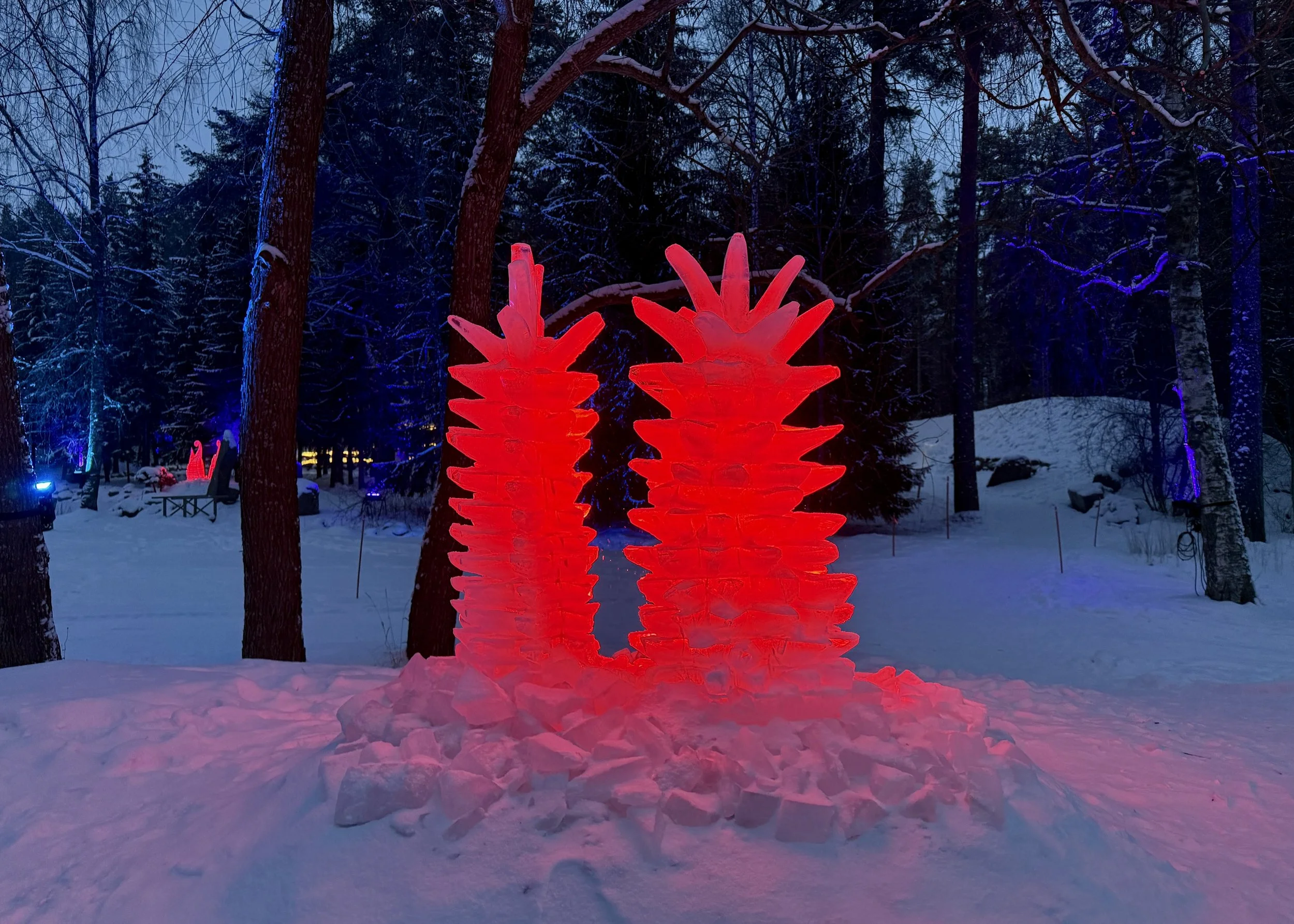 botania-joensuu-finland-red-light-sculpture-winter-garden.JPG