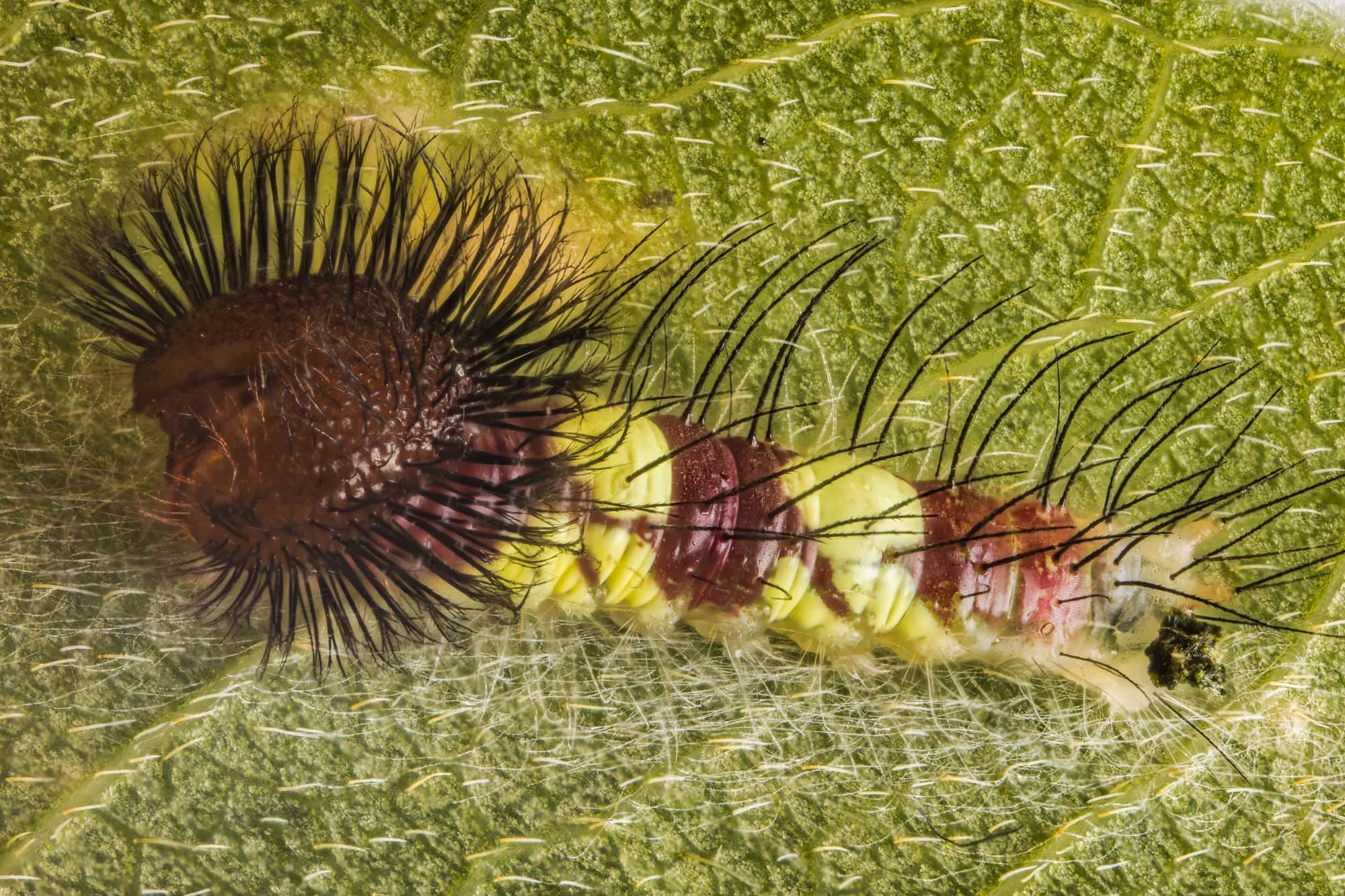 2022-04-23 11-39-10 (C,S2).jpg