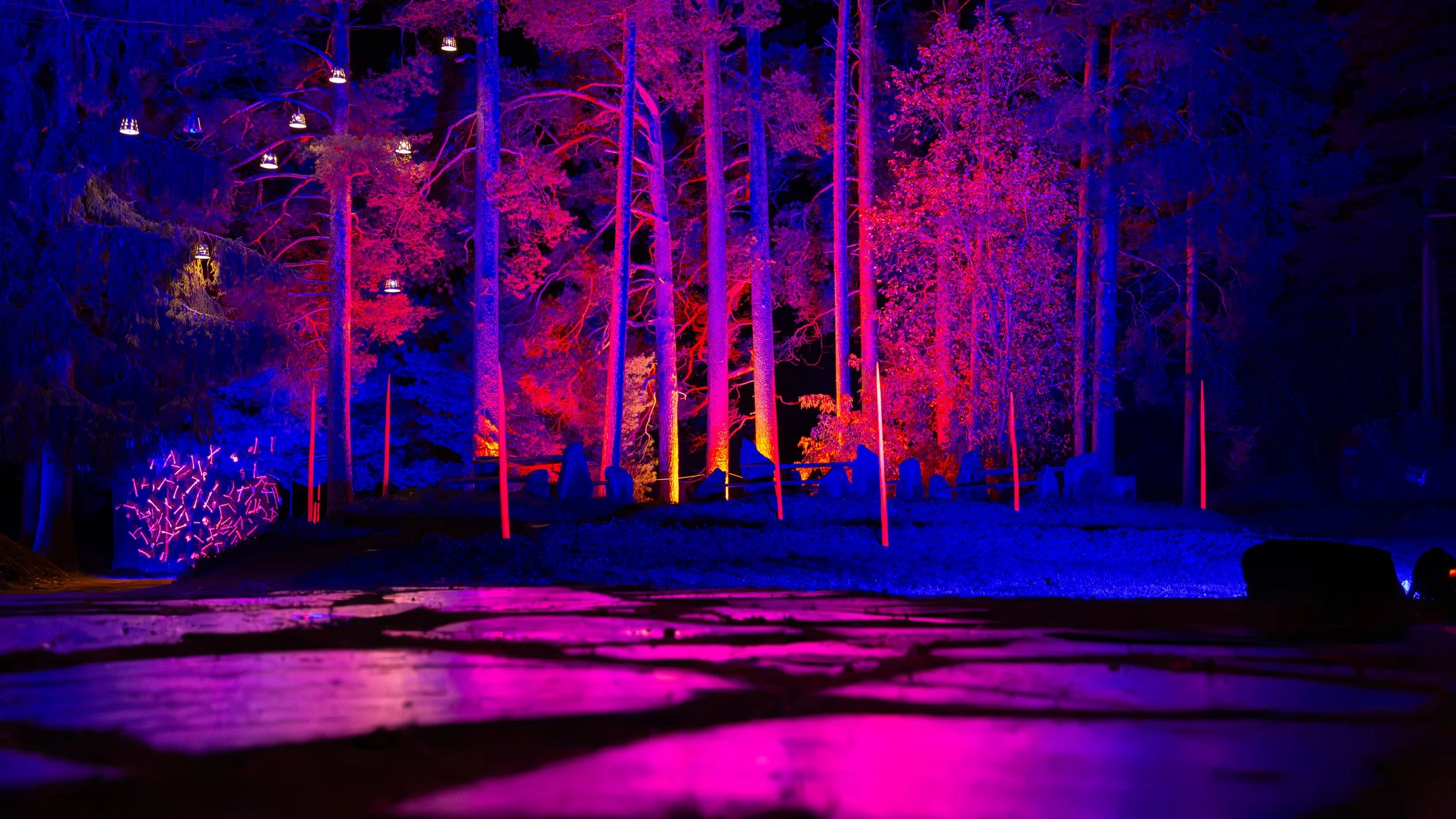 Bootania-Botania-Joensuu-00002.jpg