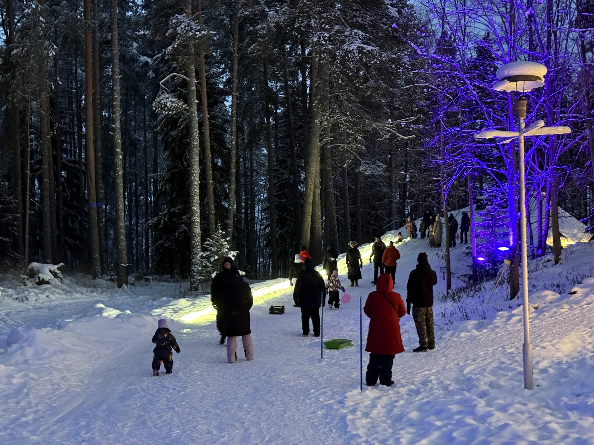 botania-joensuu-finland-family-winter-experience-slide.JPG