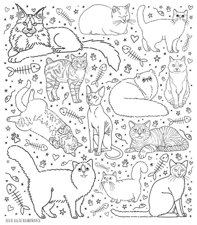 coloring pages — Ellie Illustrates