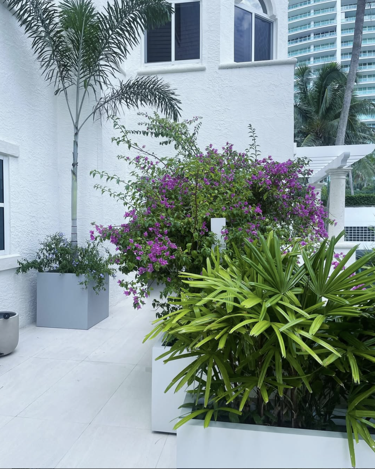 Screenshot 2026-02-25 at 10.27.49 AM.png