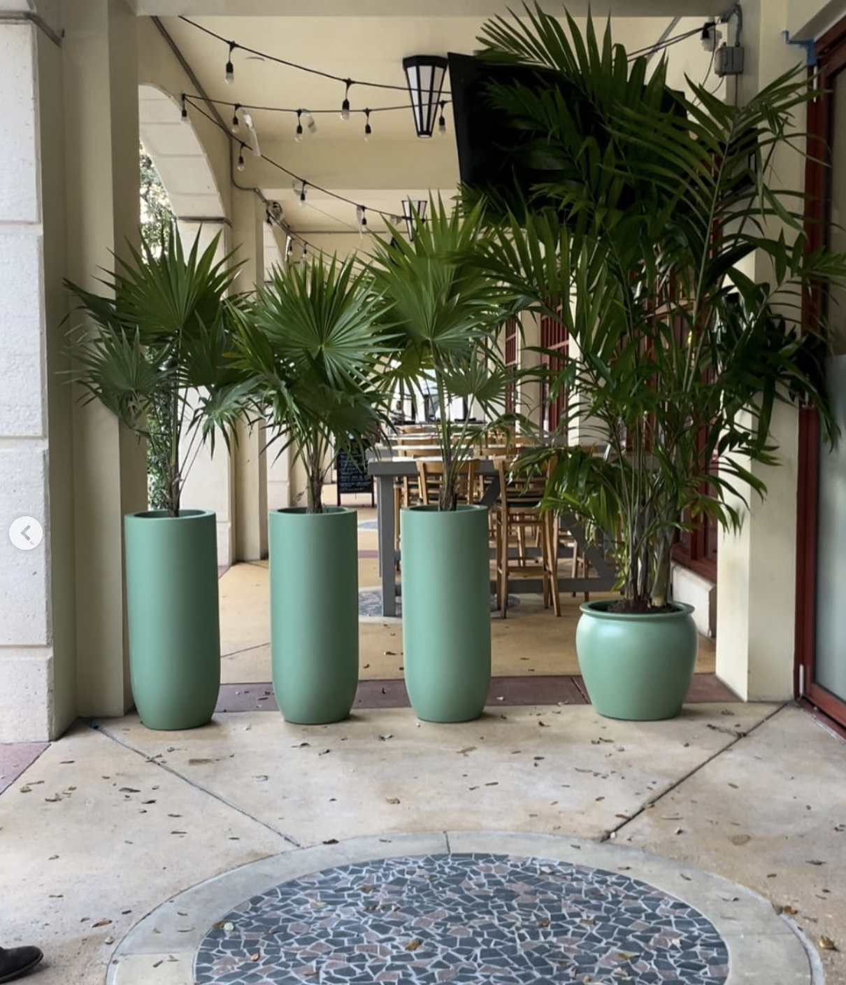 Screenshot 2026-02-25 at 10.27.18 AM.png