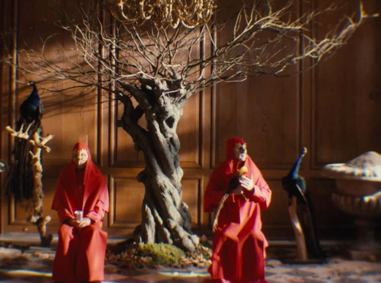 Screenshot 2026-02-18 at 16.09.14.jpg