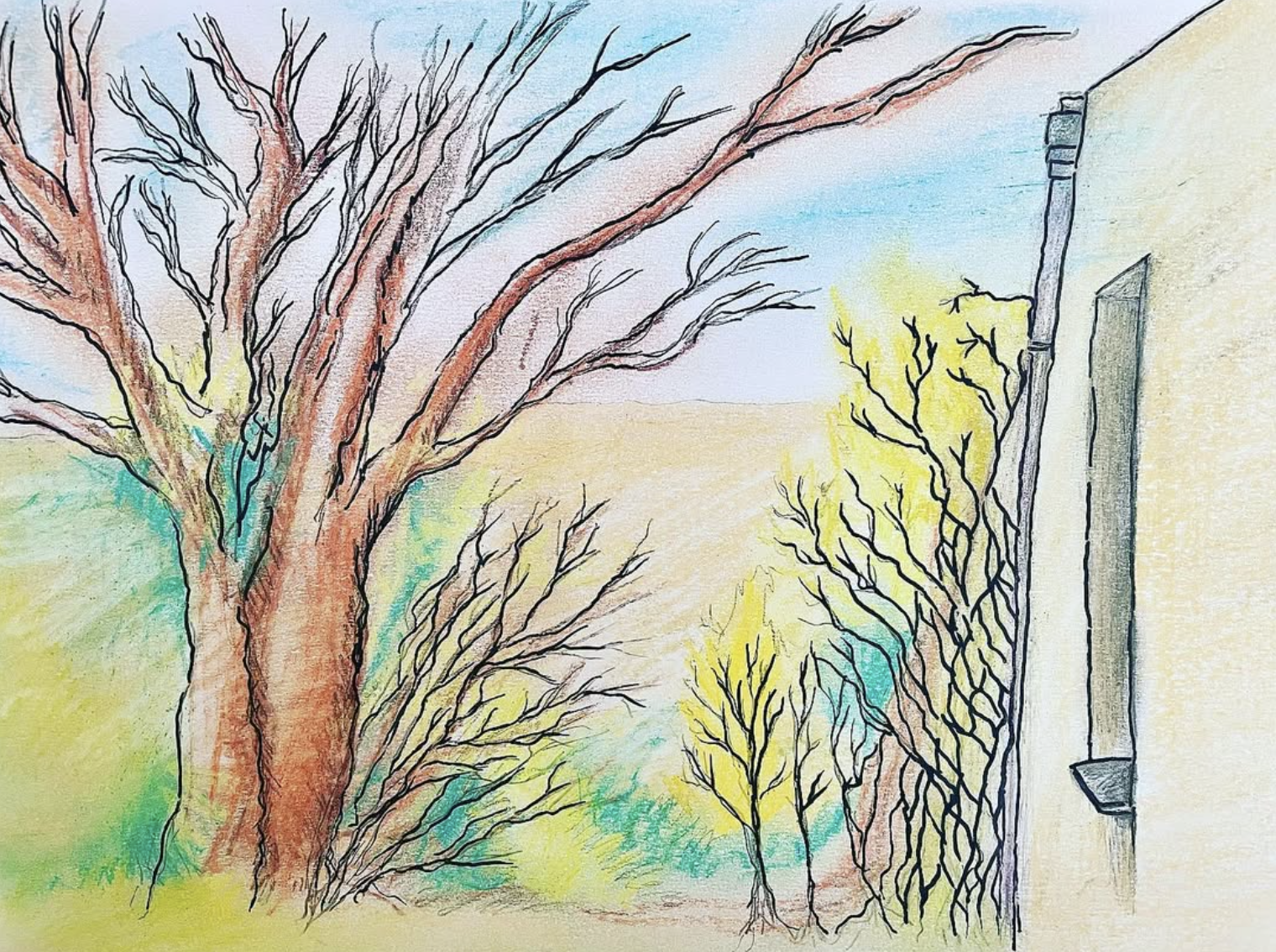 Screenshot 2026-02-16 at 10.59.44.png