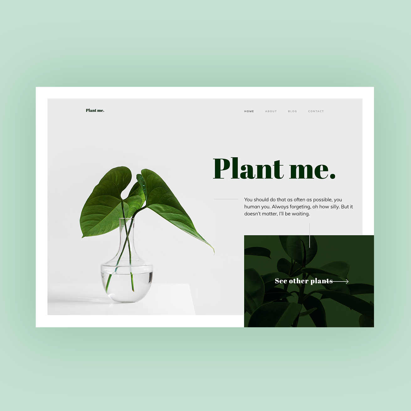 Plant me instagram.png