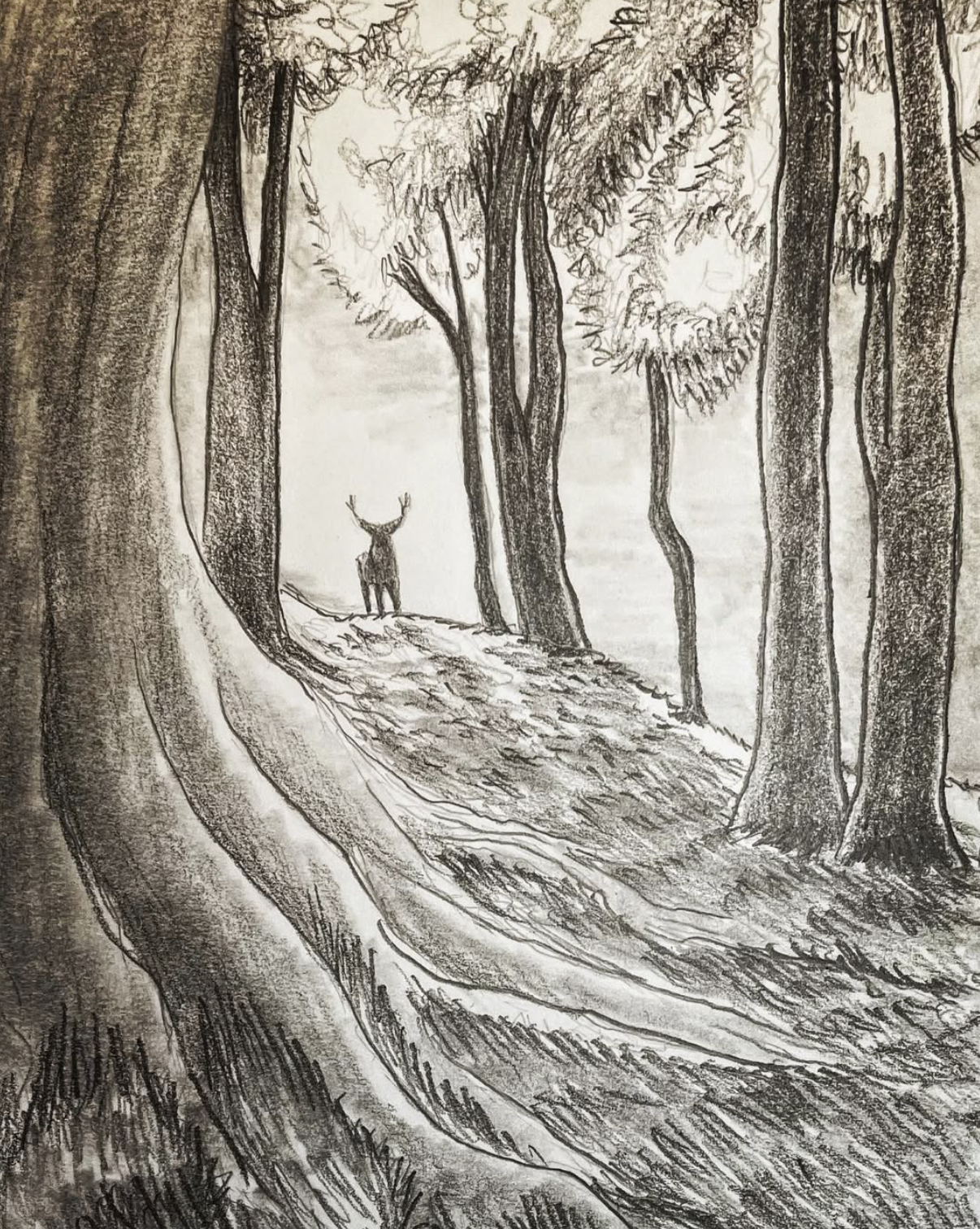 Screenshot 2026-02-16 at 10.57.41.png