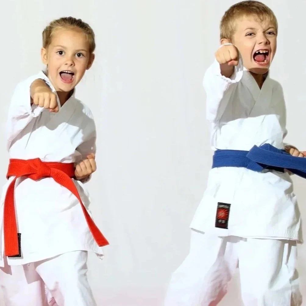 Karate-1-scaled.jpg