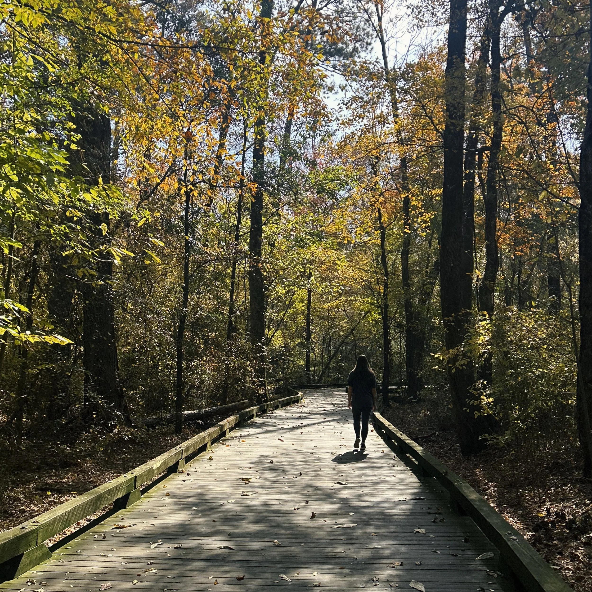 Staying Rooted When It Would Be Easier to Drift