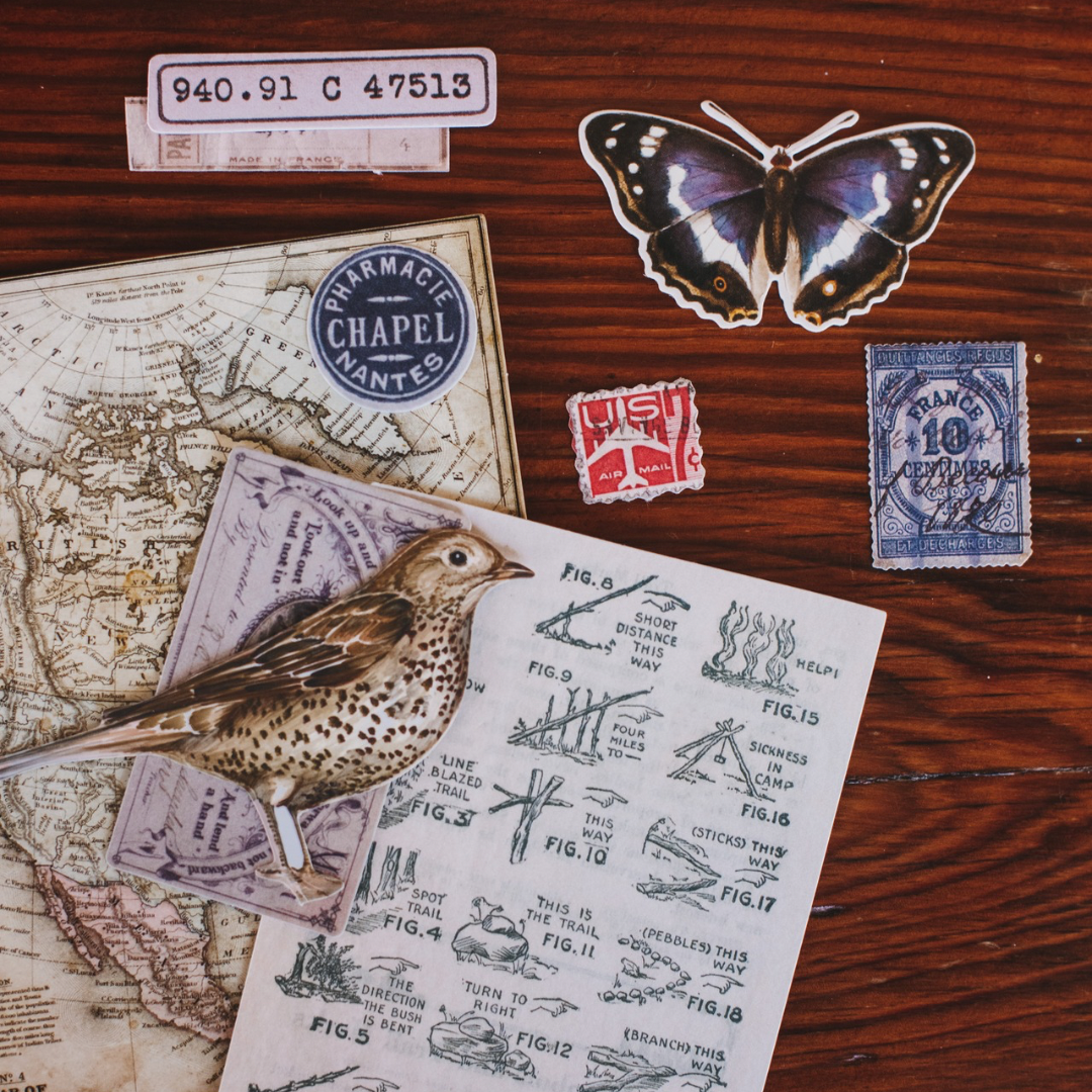 Untitled design - 5.PNG