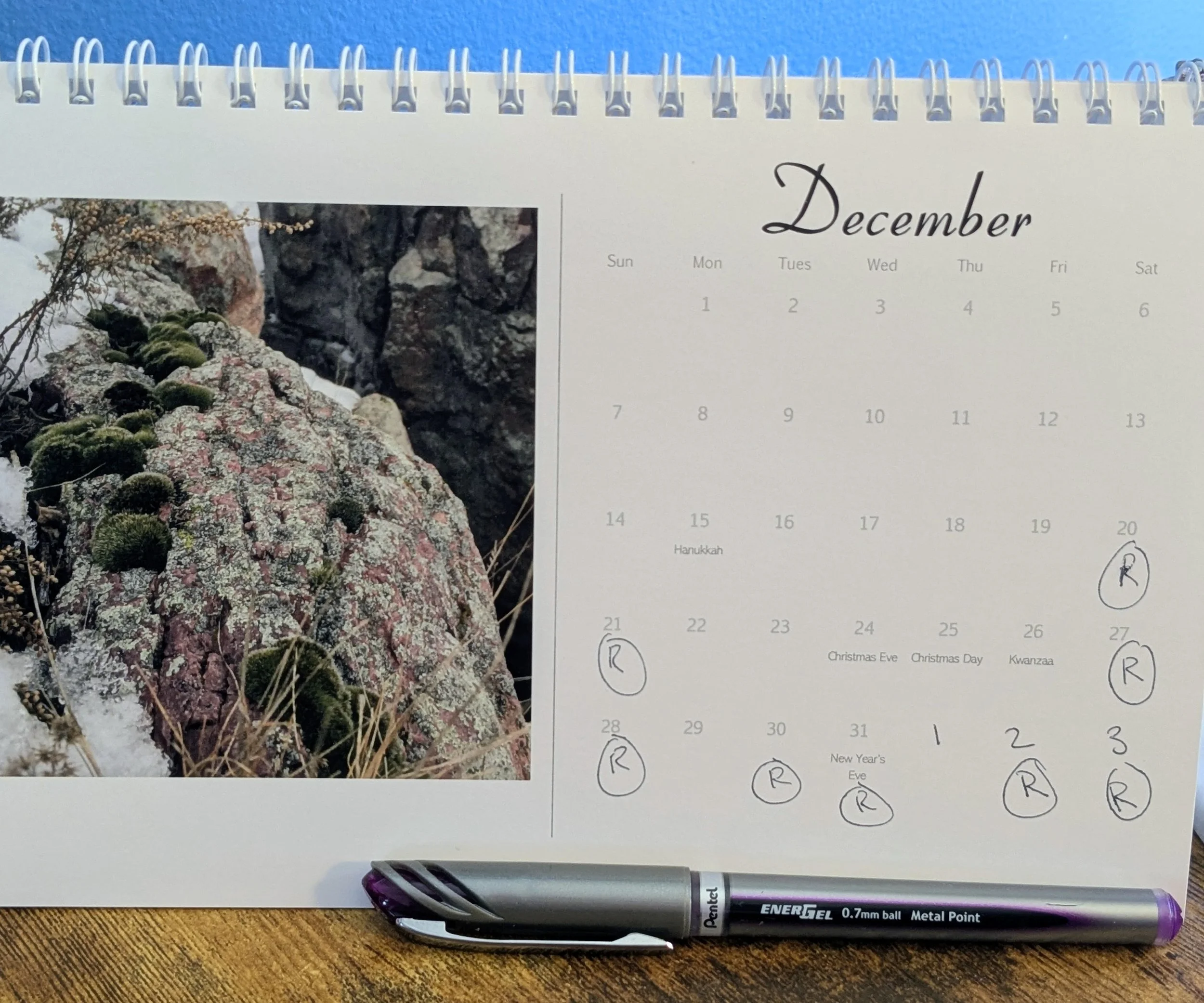 I've marked a calendar with an "R" for revision days to help me pace myself with my goal.