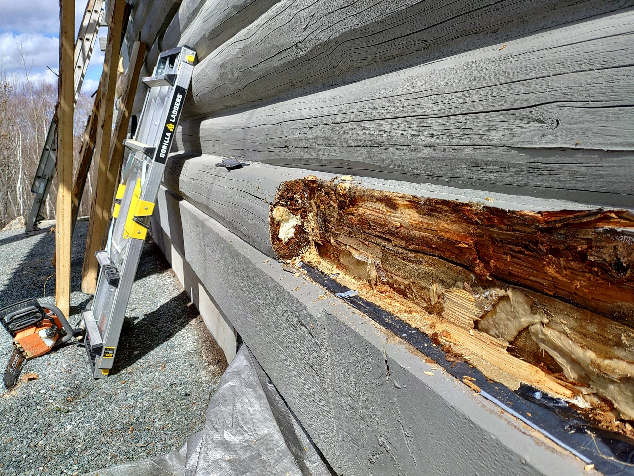 starting with log repair - removing material to prep for repair