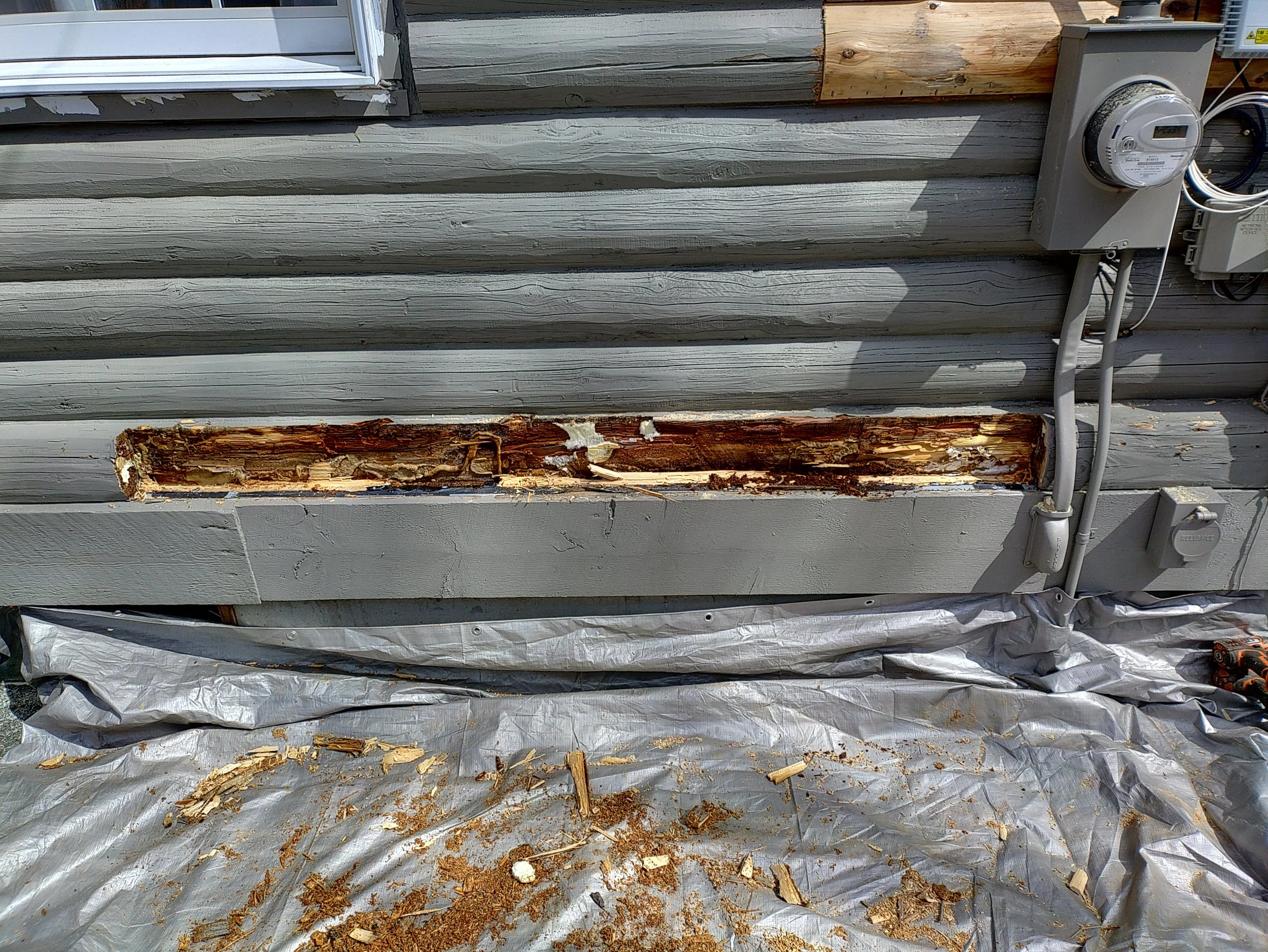 starting with log repair - removing material to prep for repair