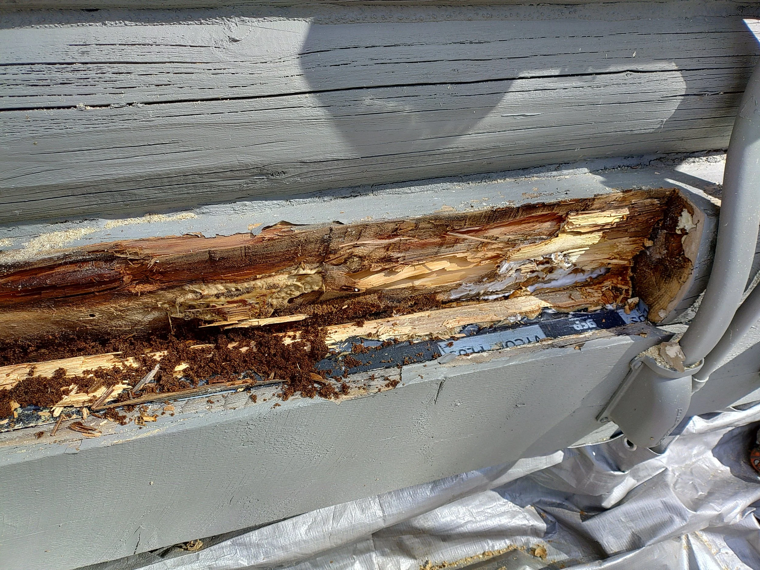 starting with log repair - removing material to prep for repair