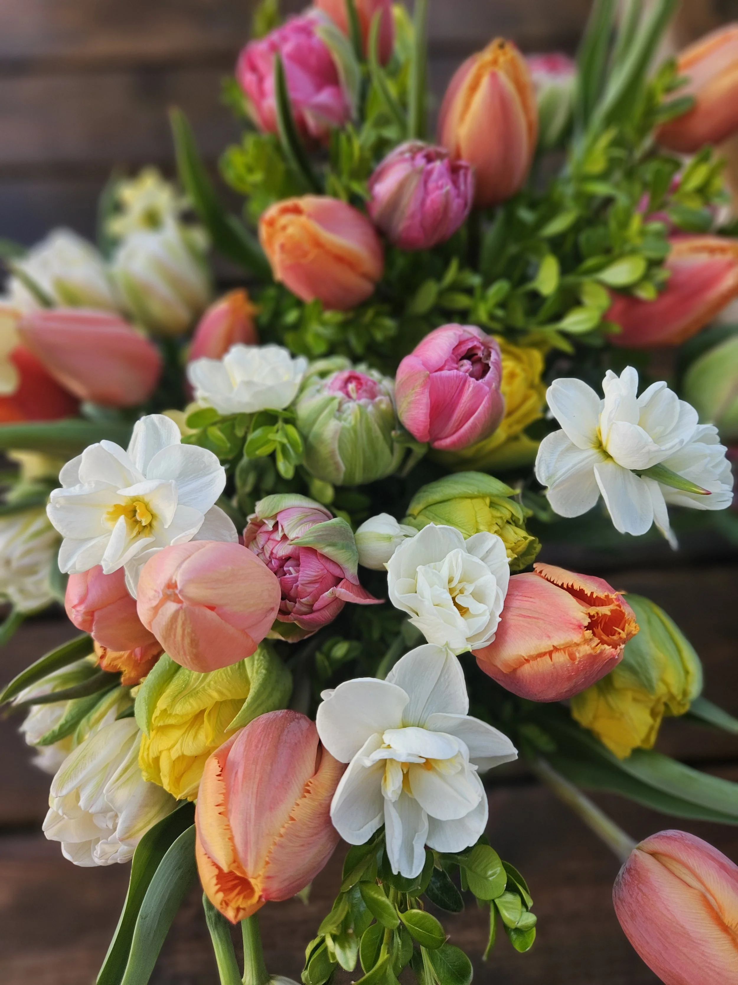 Spring 6 Week Subscription