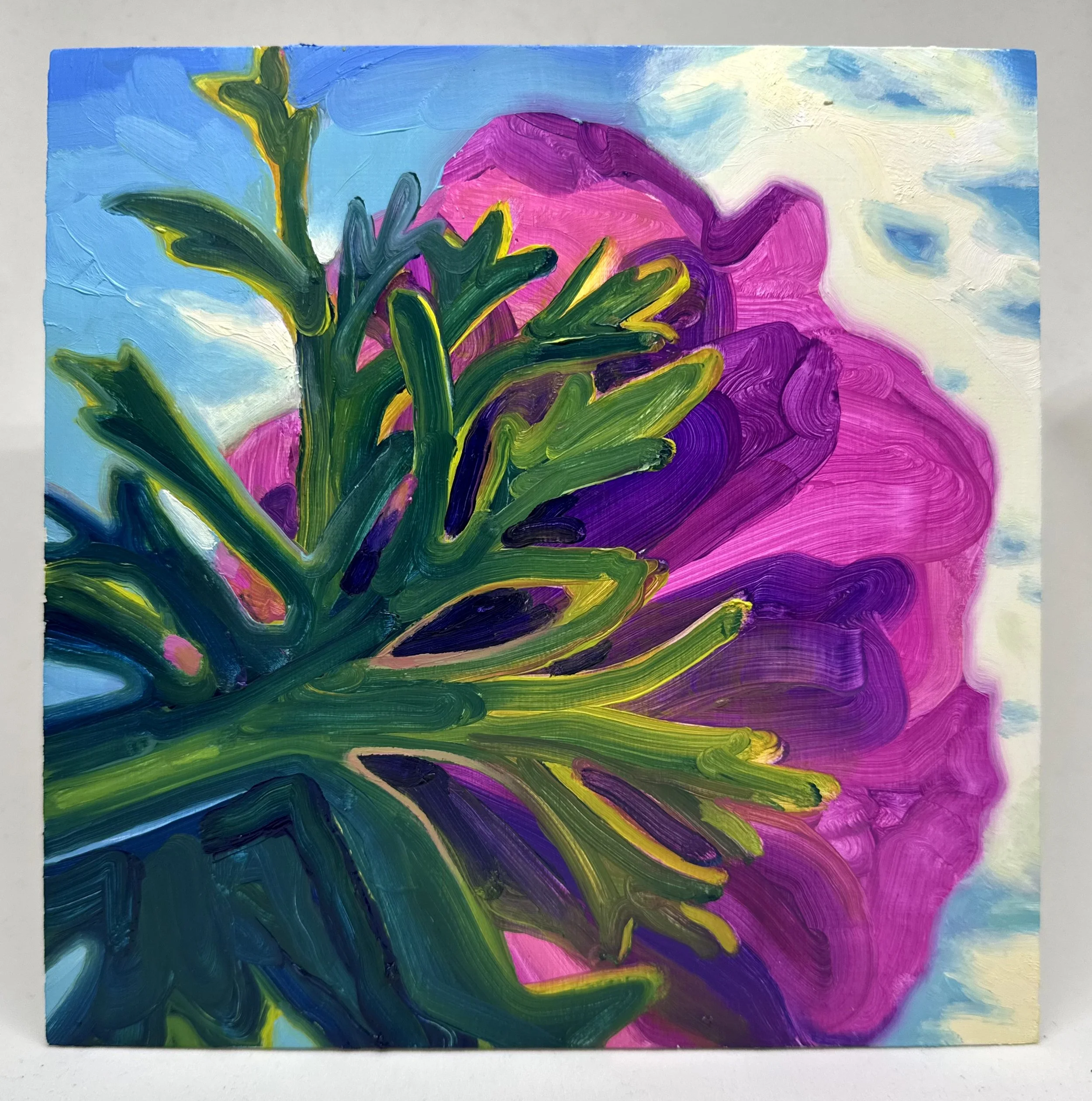 Dec 12 - Translucent Flowerback