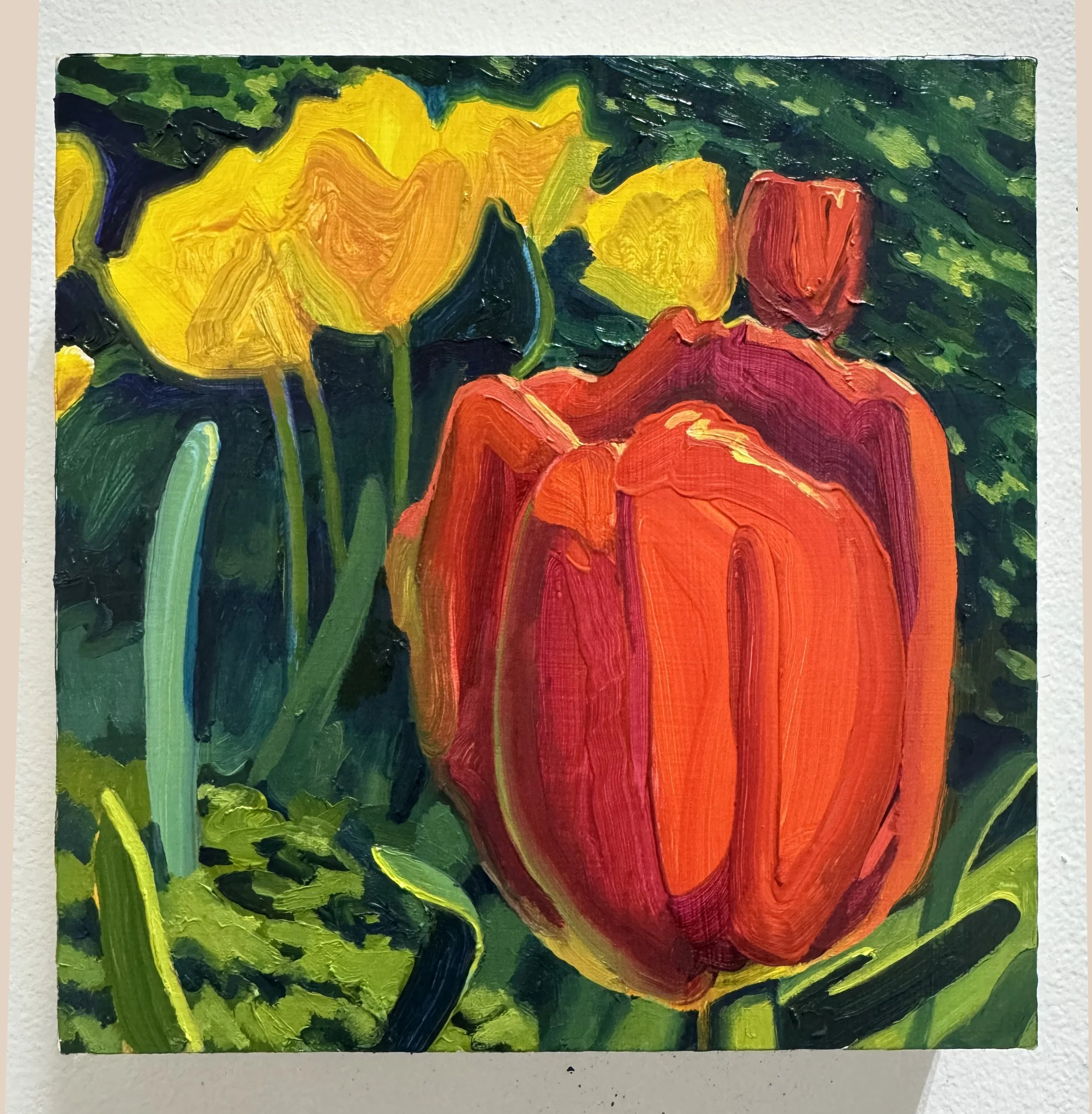 Dec 18 - Radiant Field