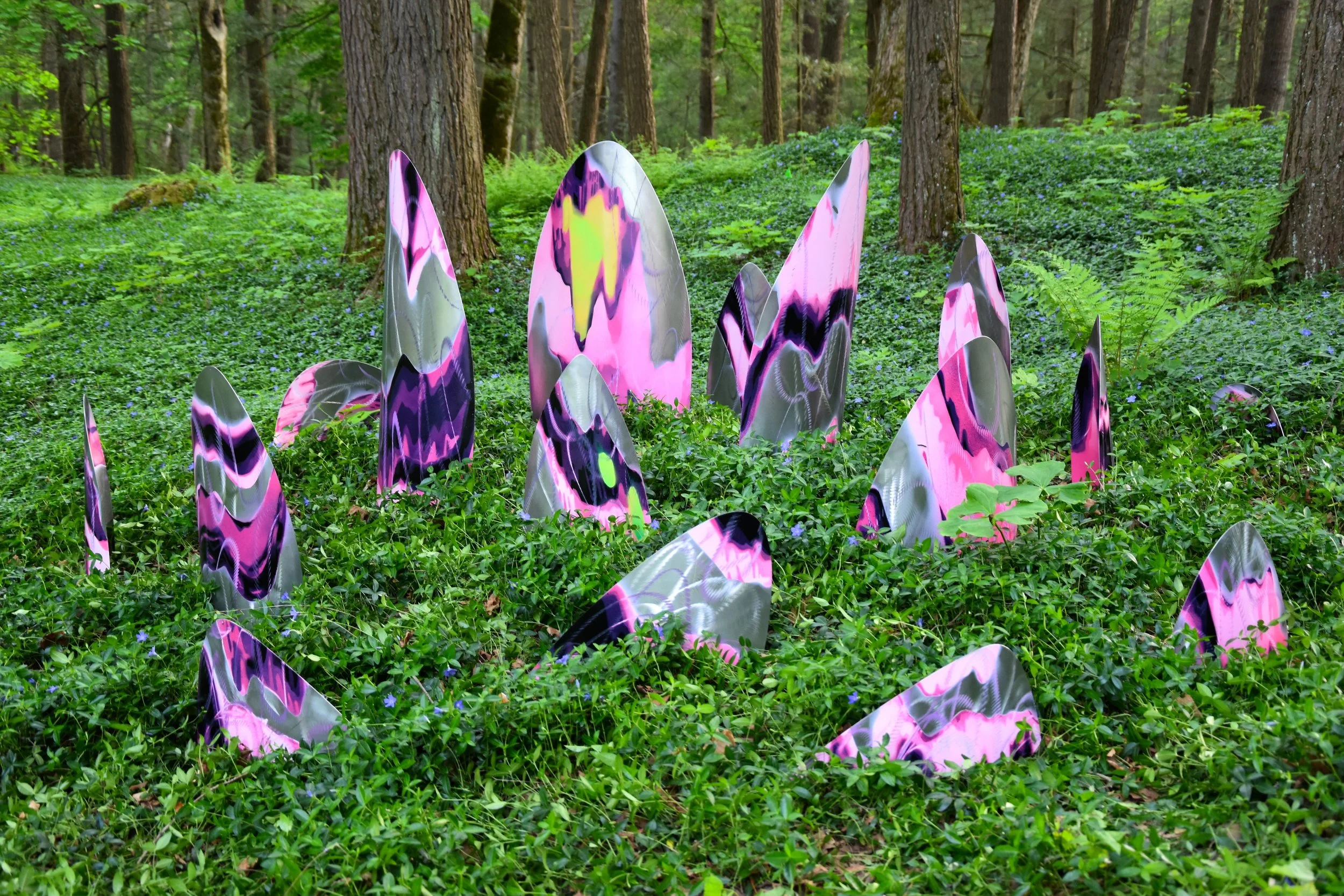 Arisen Gaia, outdoor paint on stainless steel, 40”x77”x75”, 2026

Location: The Mount, Lenox, MA. 
Dates: May 21, 2026 - October 24, 2026