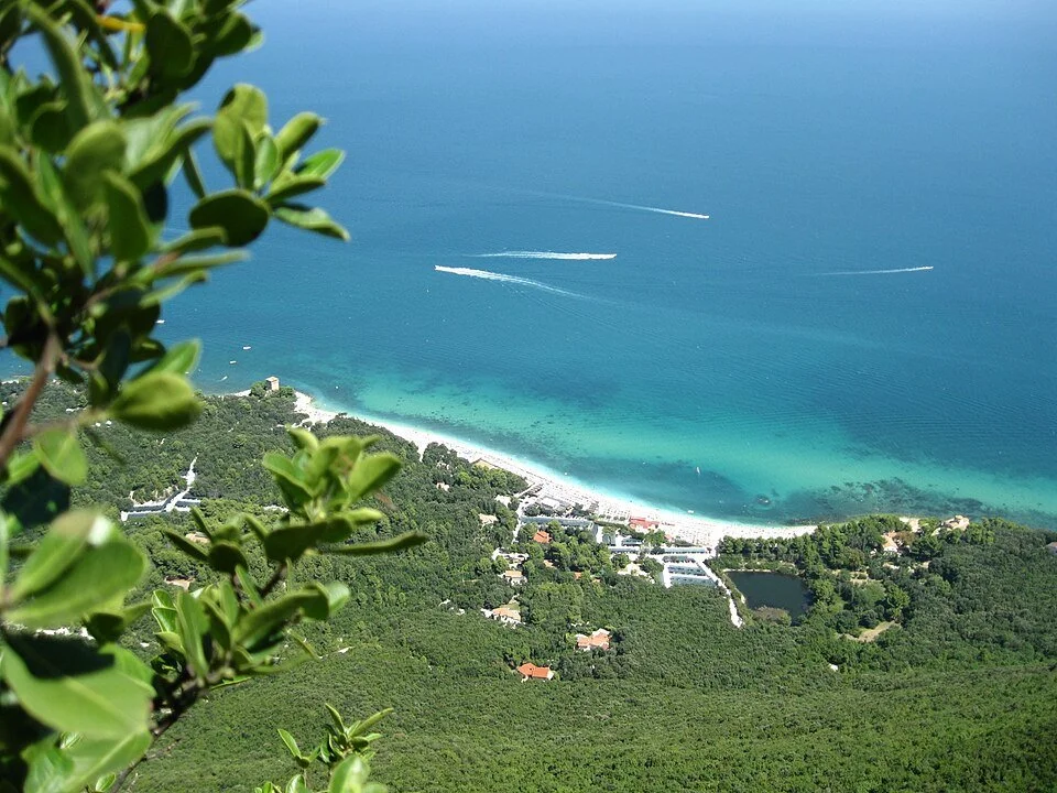 Photo by Braccioferro, CC BY-SA 4.0 